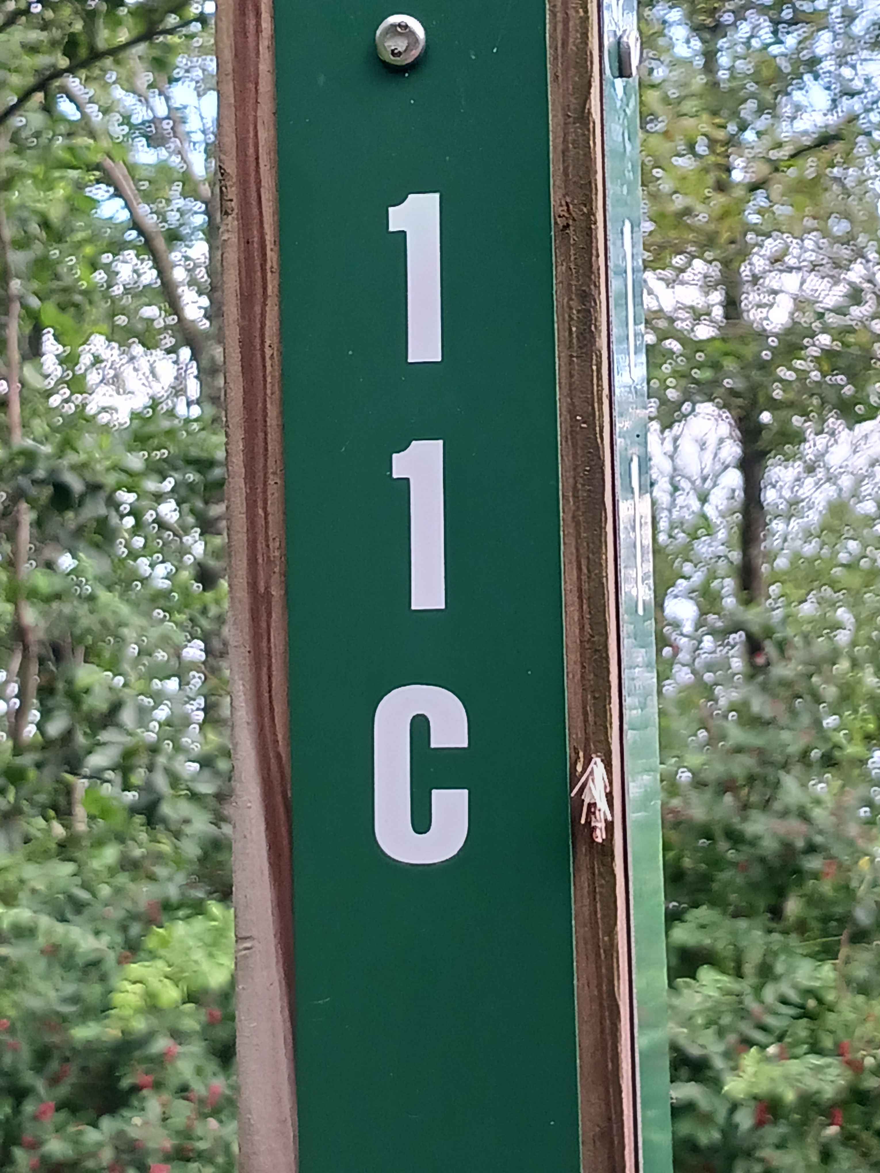 Trail 11C - Rock Run Recreation Area