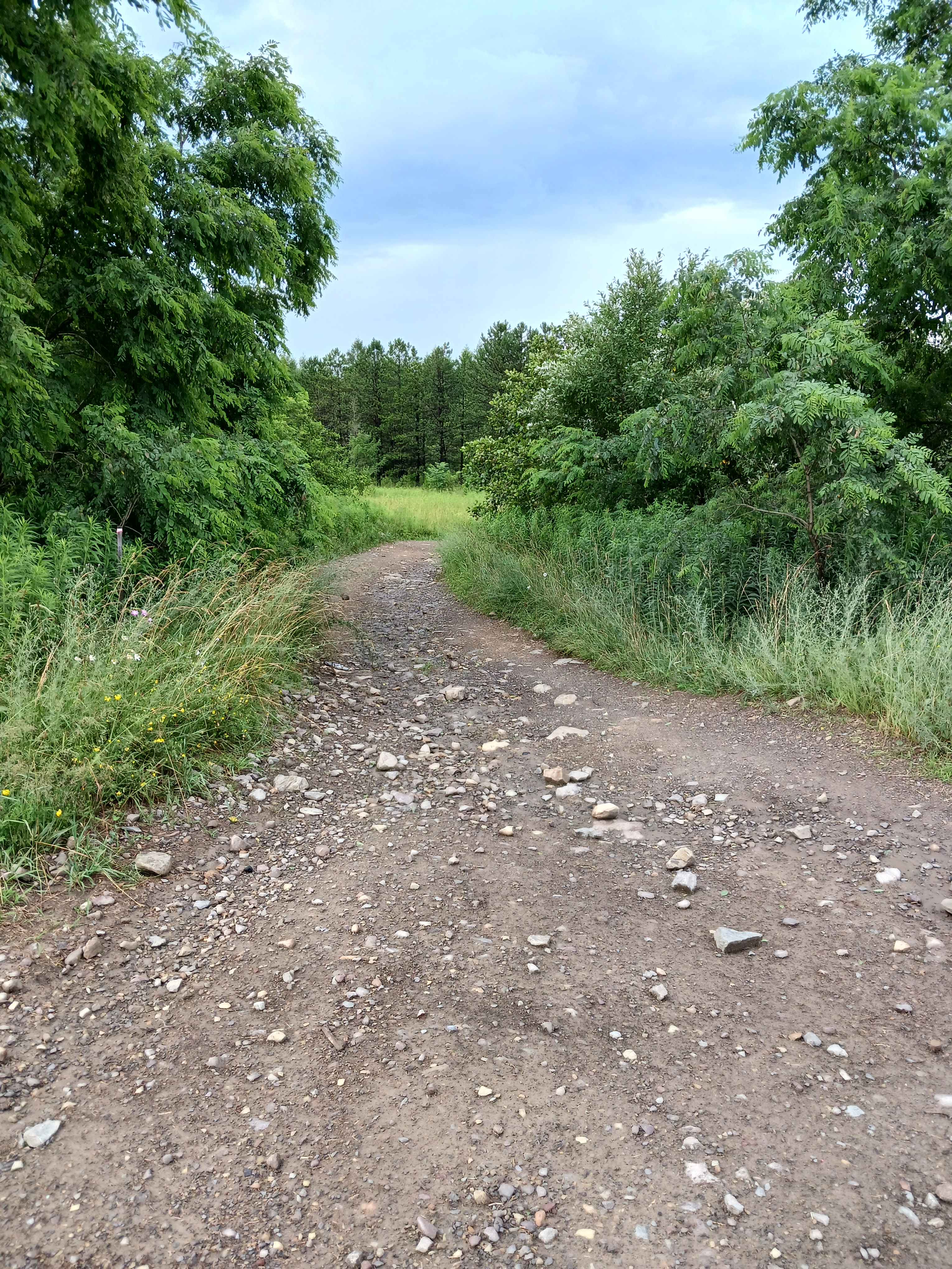 Trail 11C - Rock Run Recreation Area