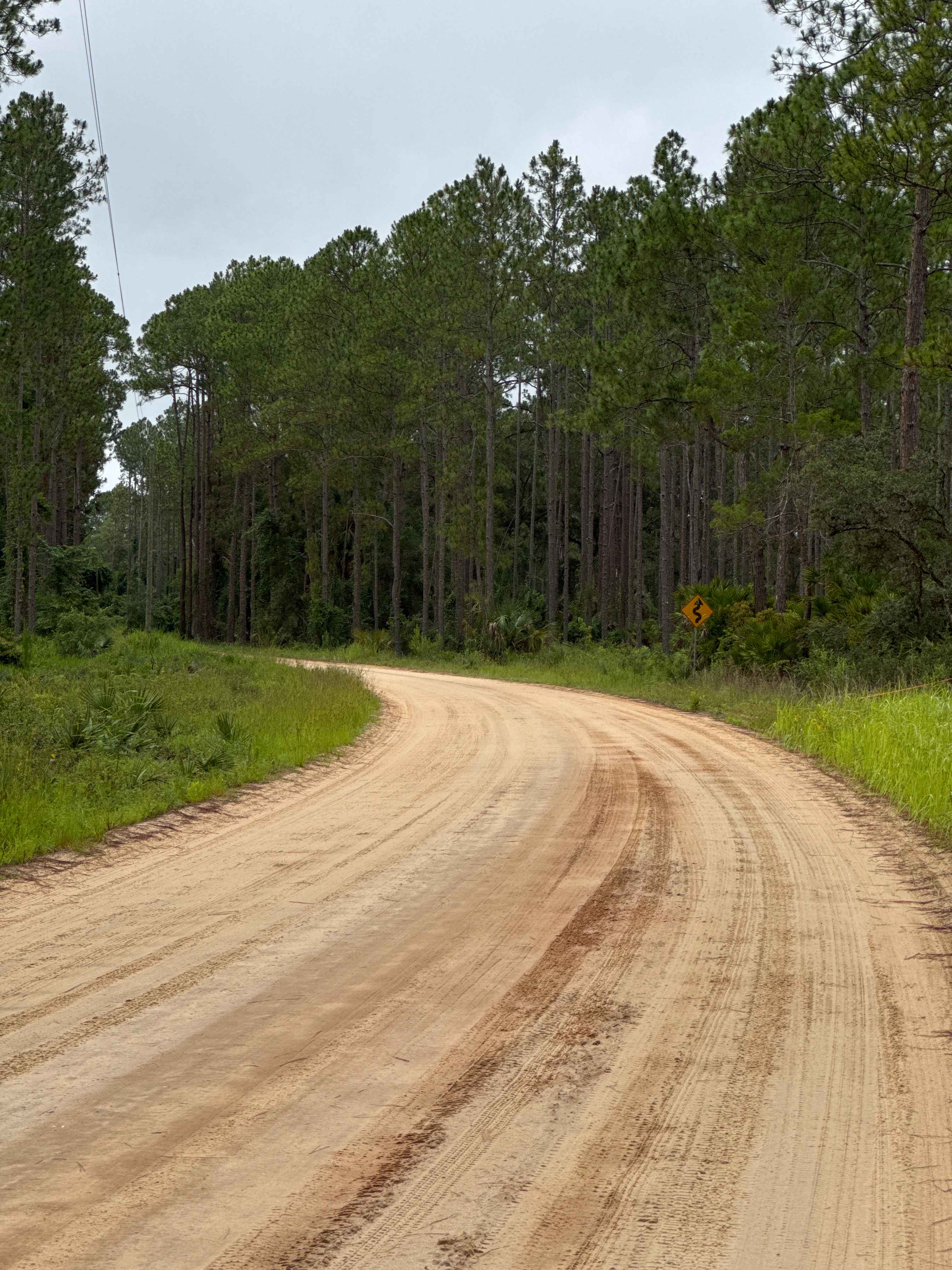 Blue Creek Lodge Road