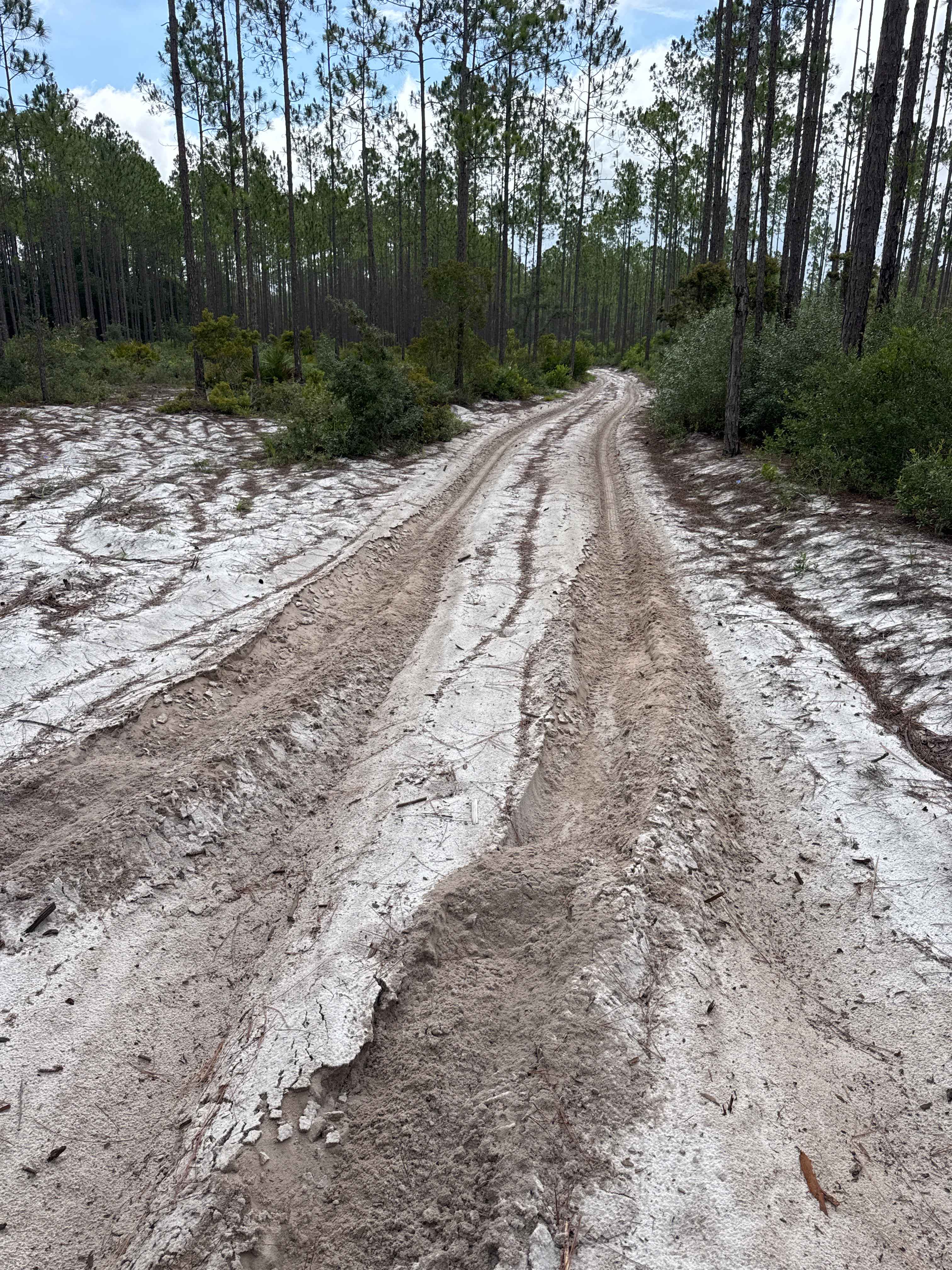 Jumper Creek - FS 34