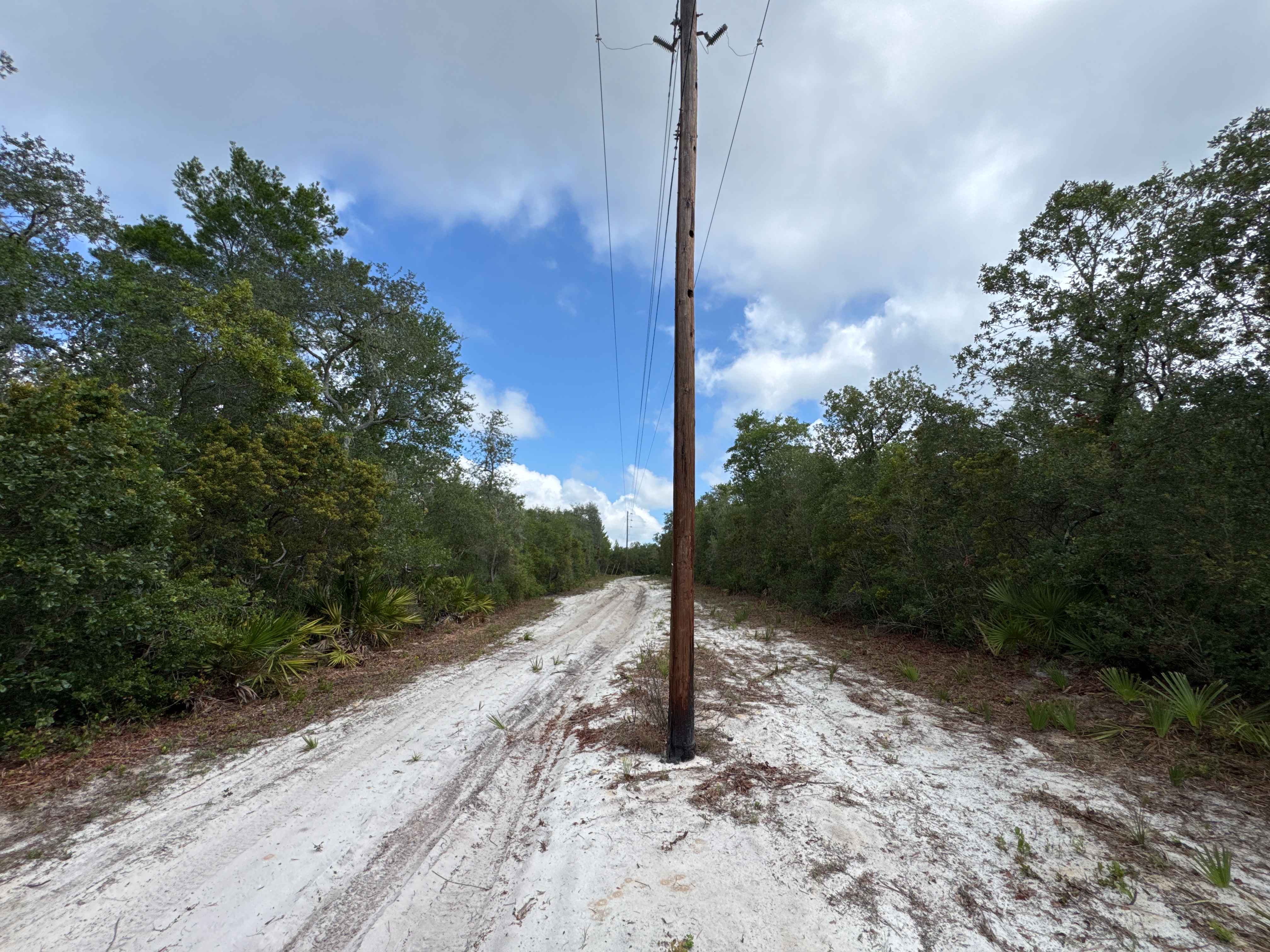 Ocala National Forest Road 19-14.8