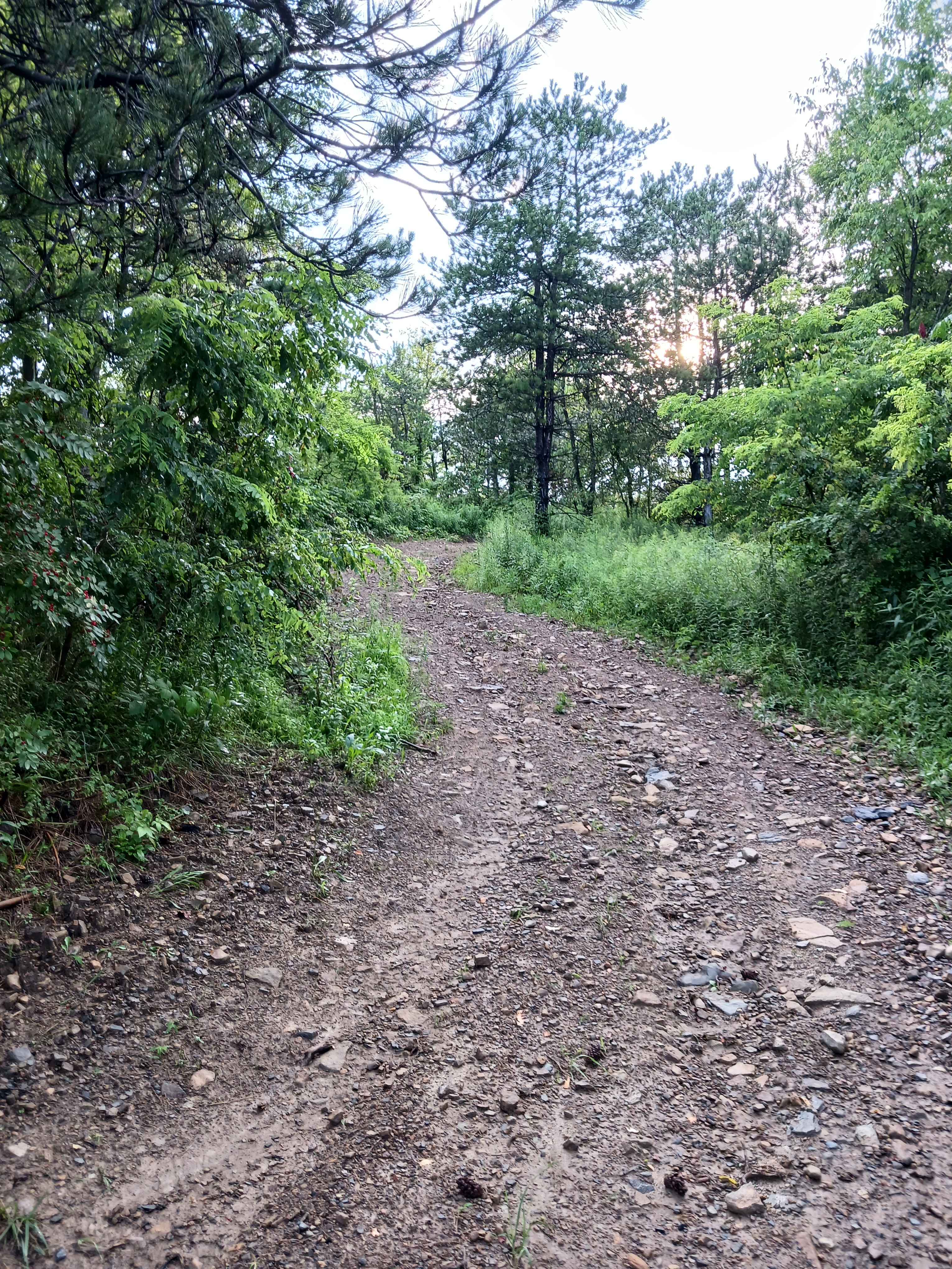 Trail 10F - Rock Run Recreation Area