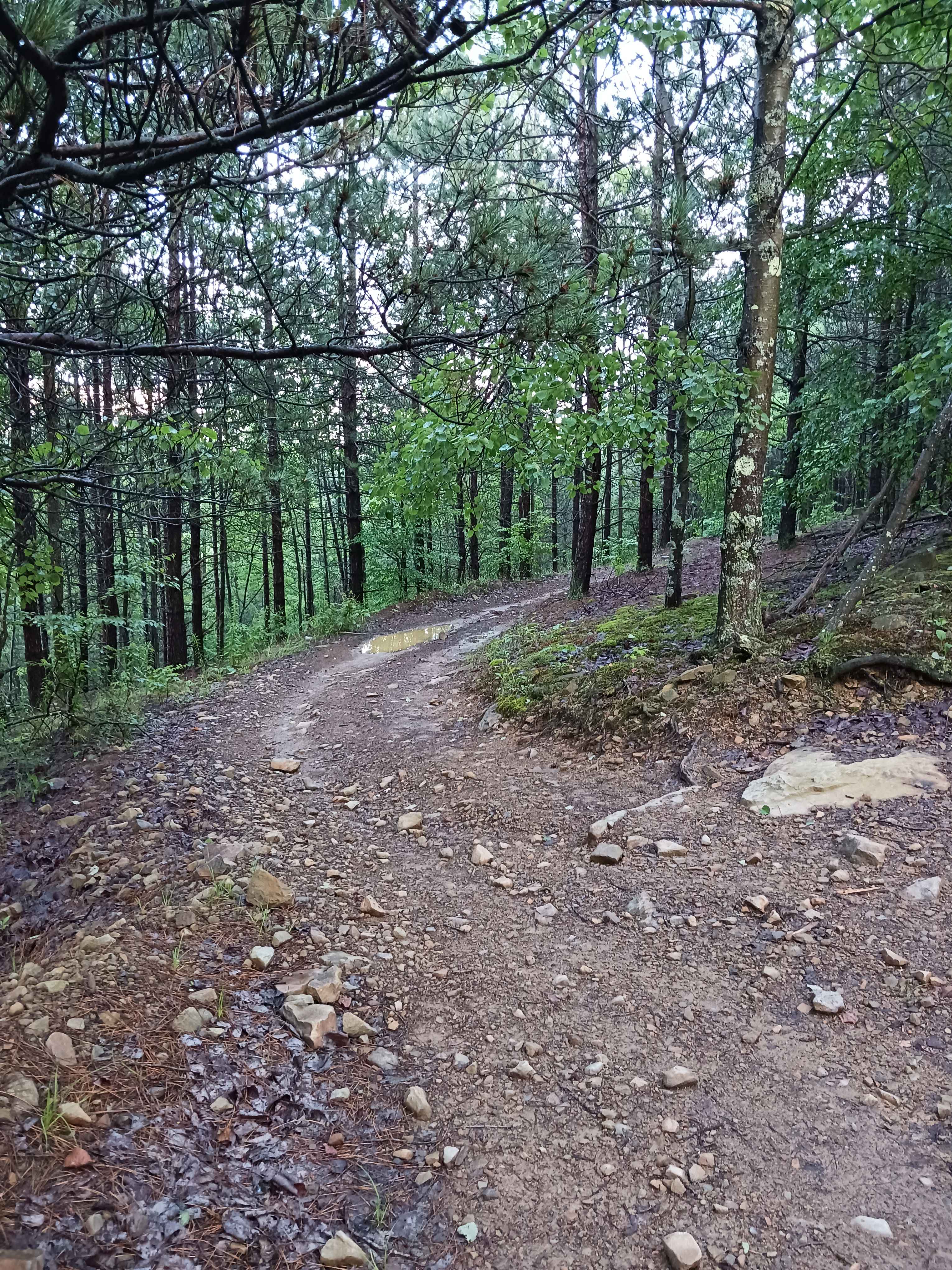 Trail 12T - Rock Run Recreation Area