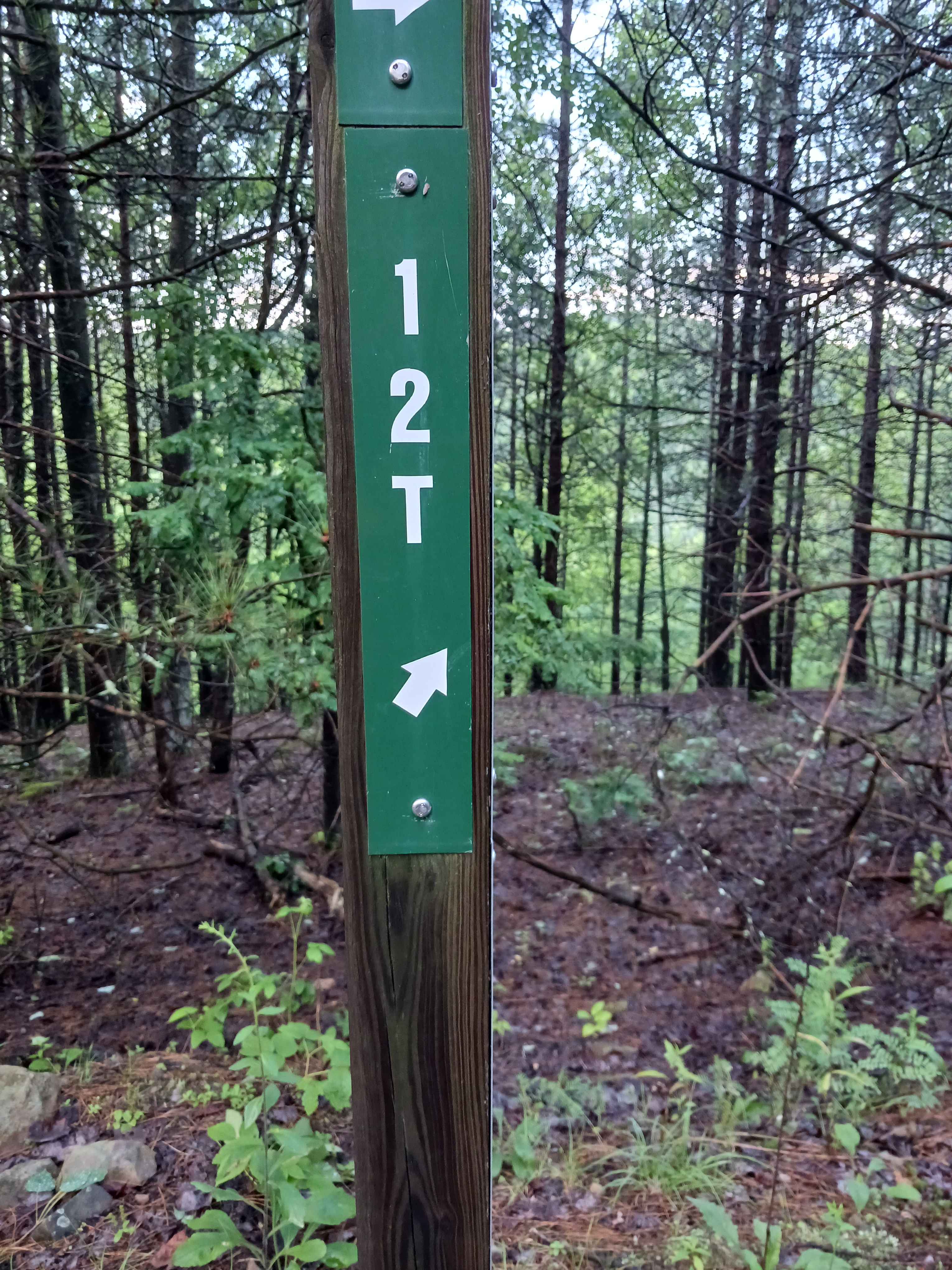 Trail 12T - Rock Run Recreation Area