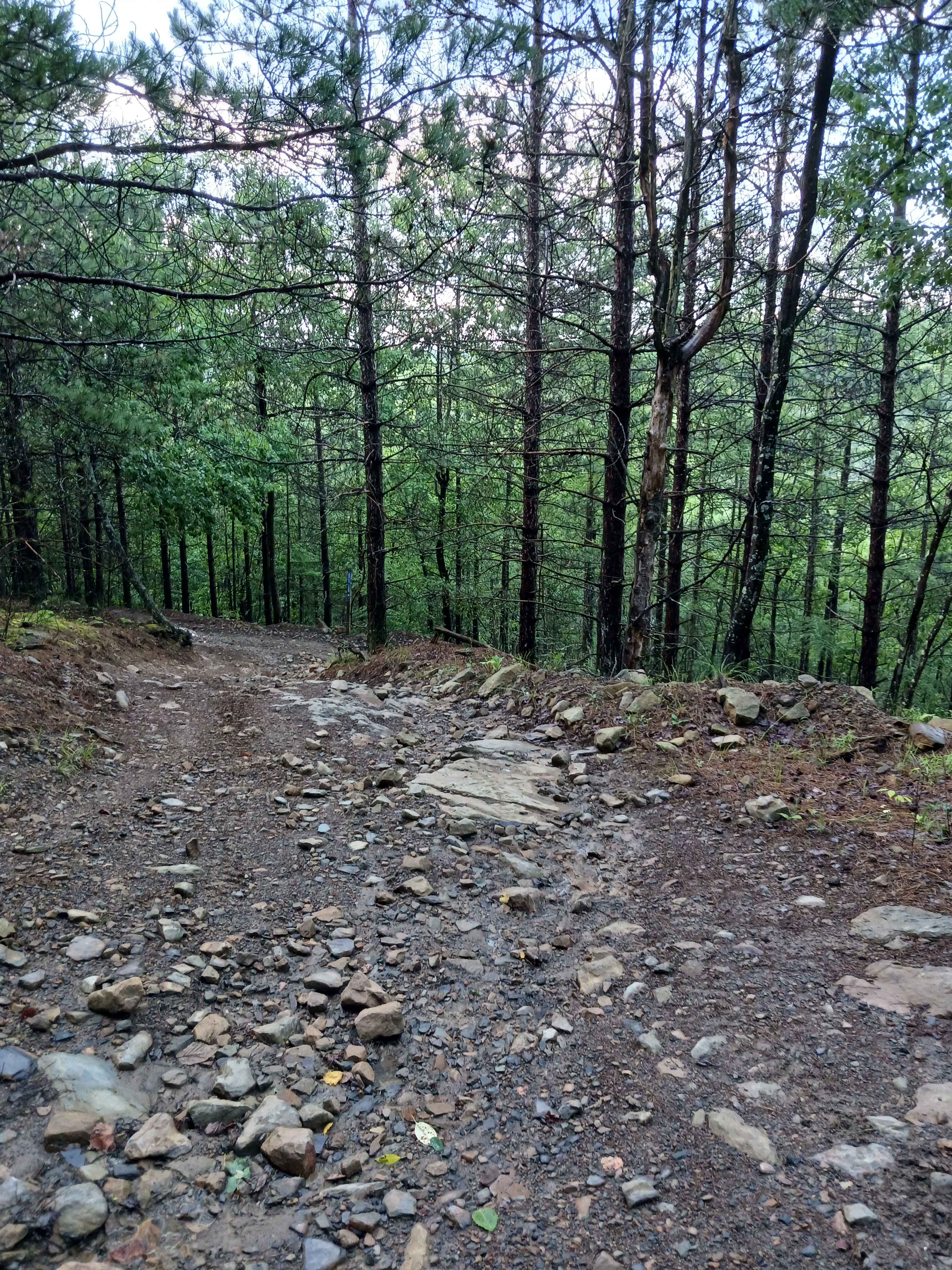 Trail 12S - Rock Run Recreation Area
