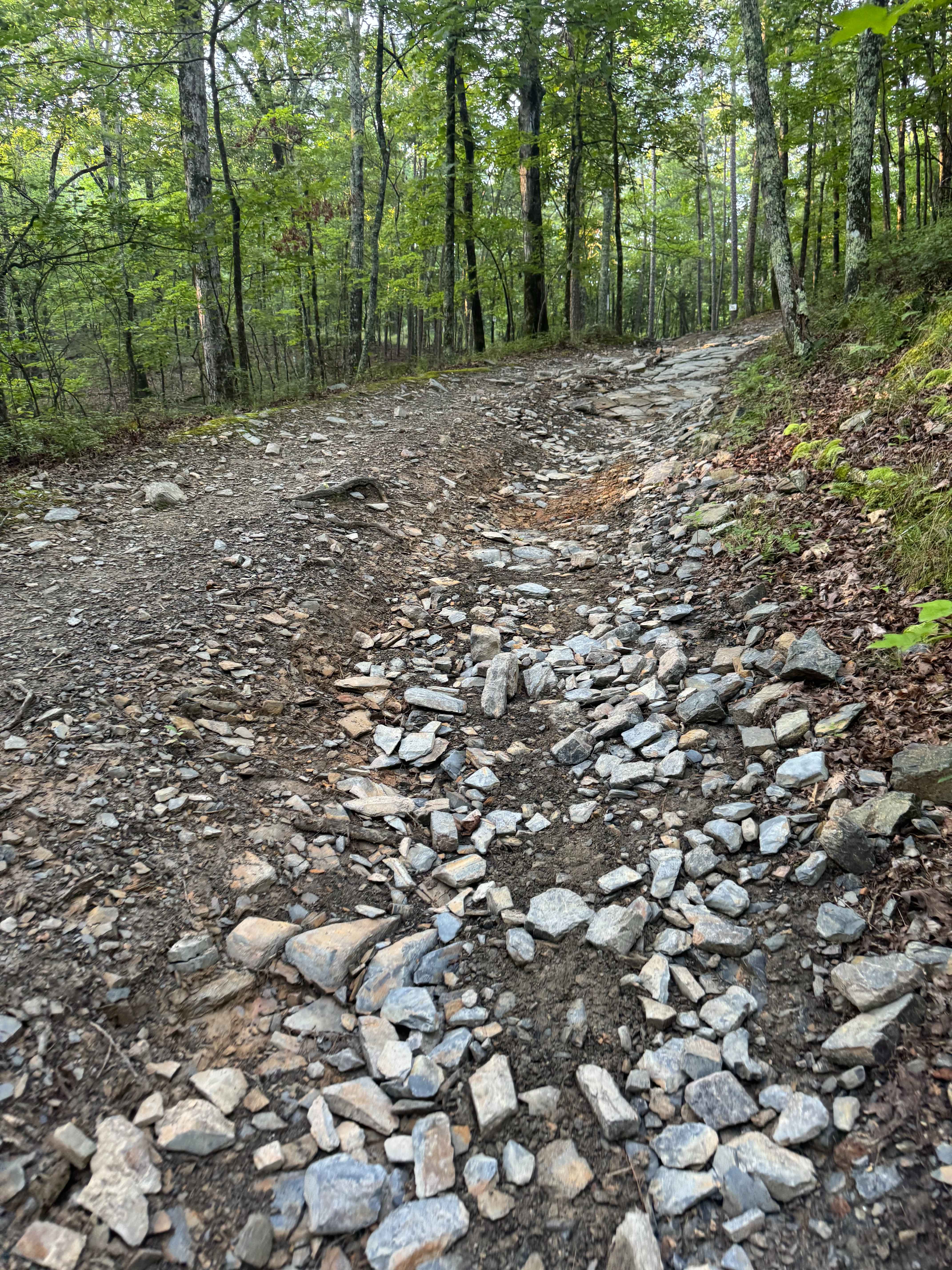 B7 Beginner's Chance