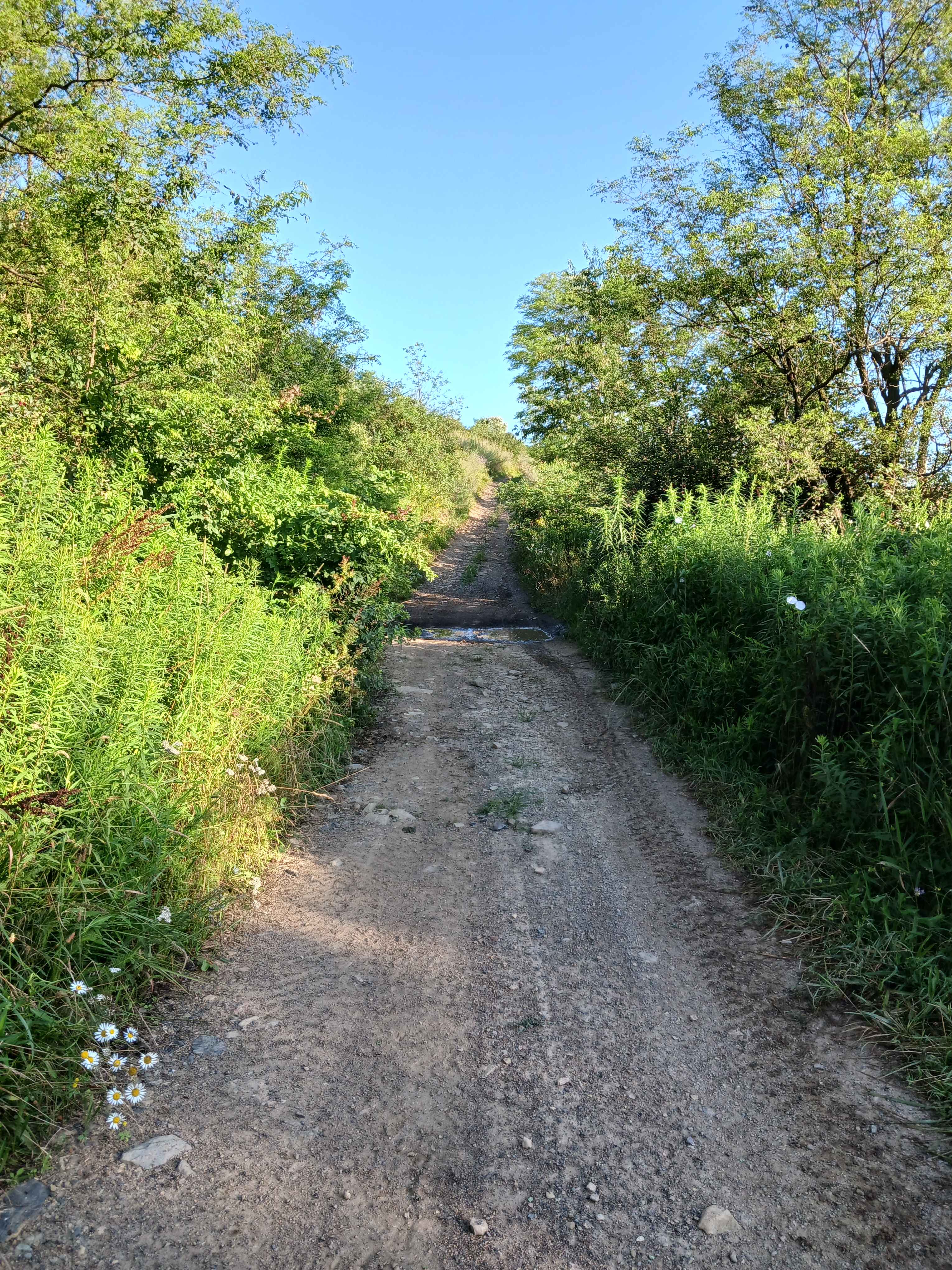 Trail 12V - Rock Run Recreation Area