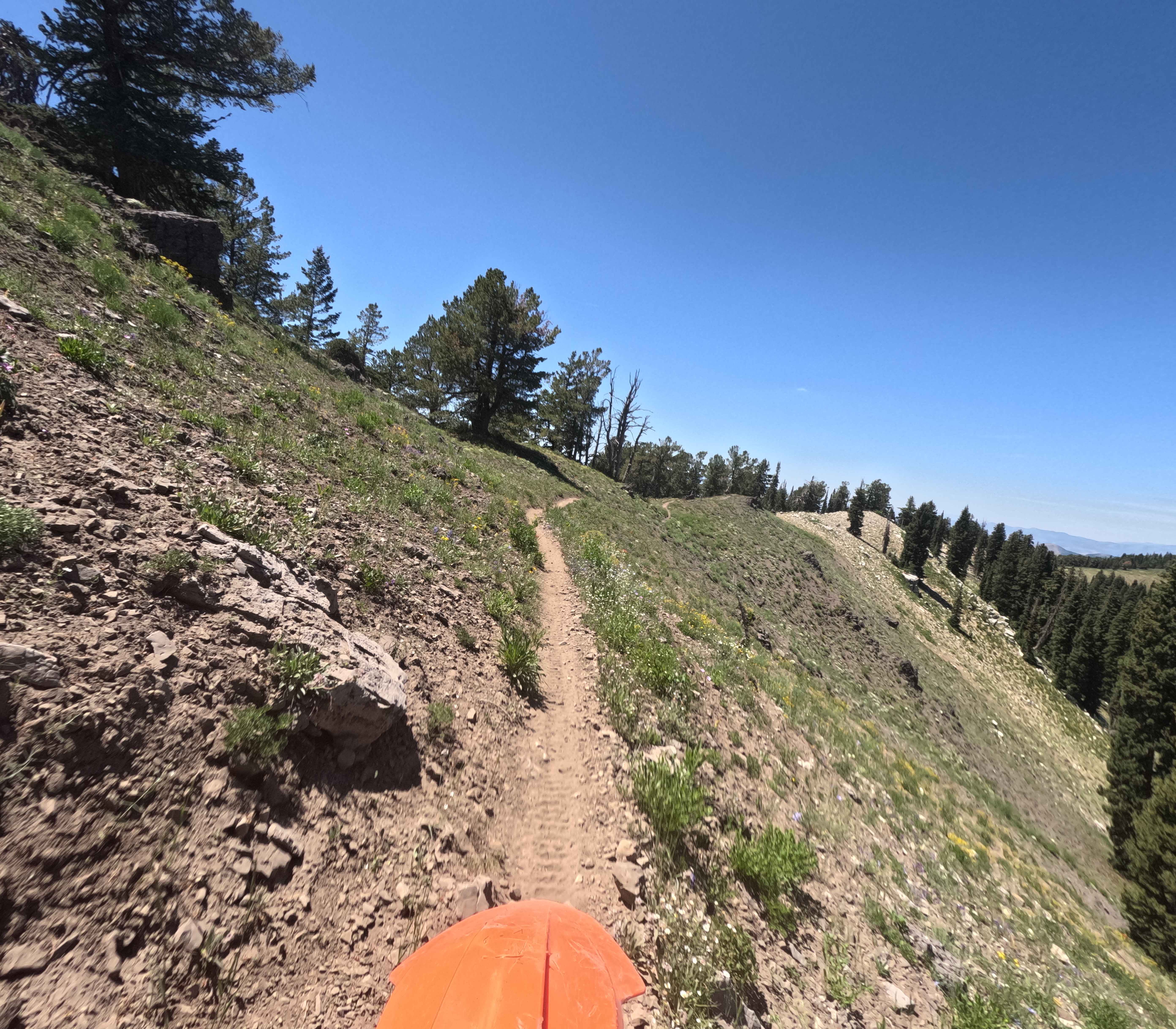 Highline Singletrack