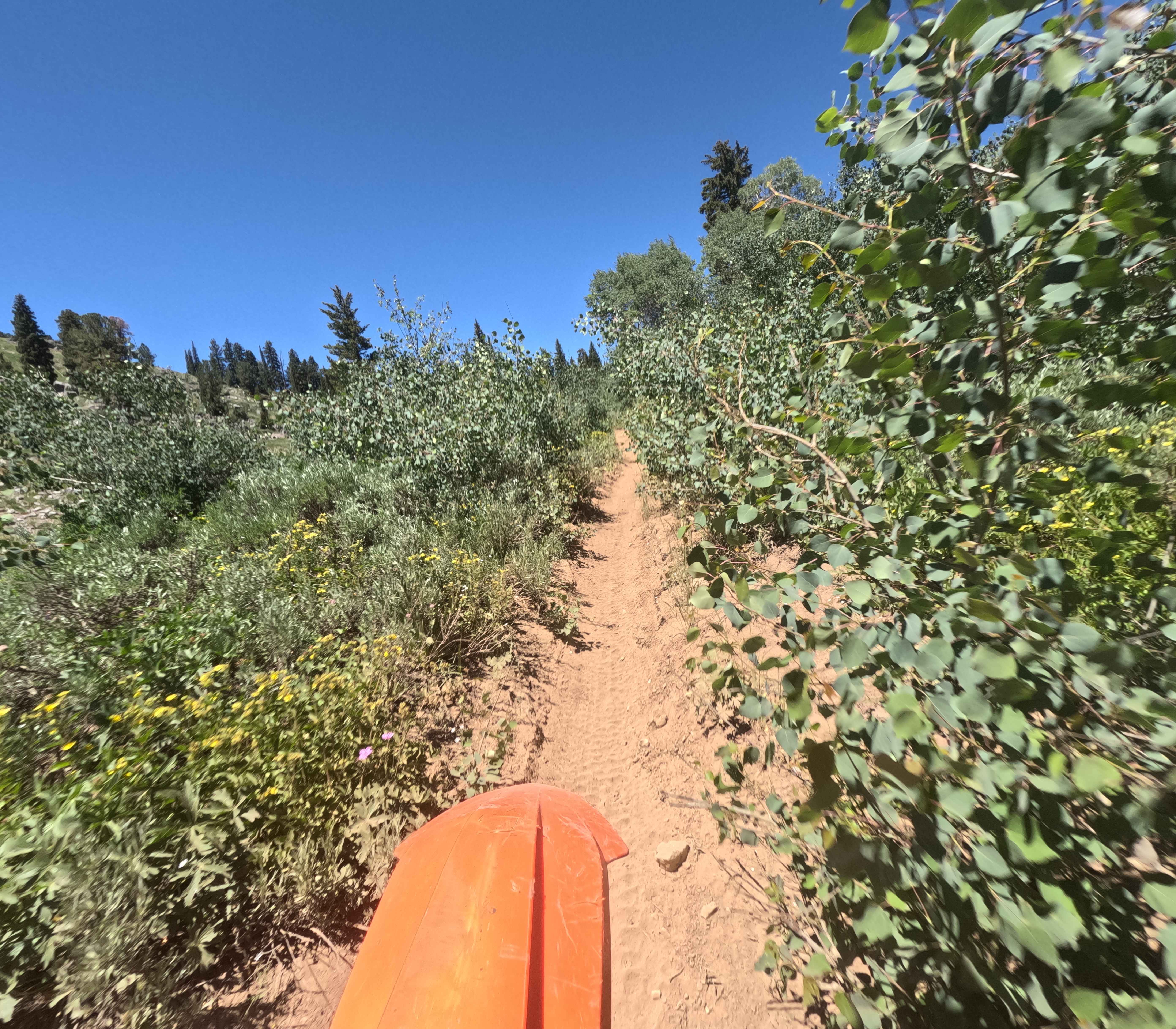 Highline Singletrack