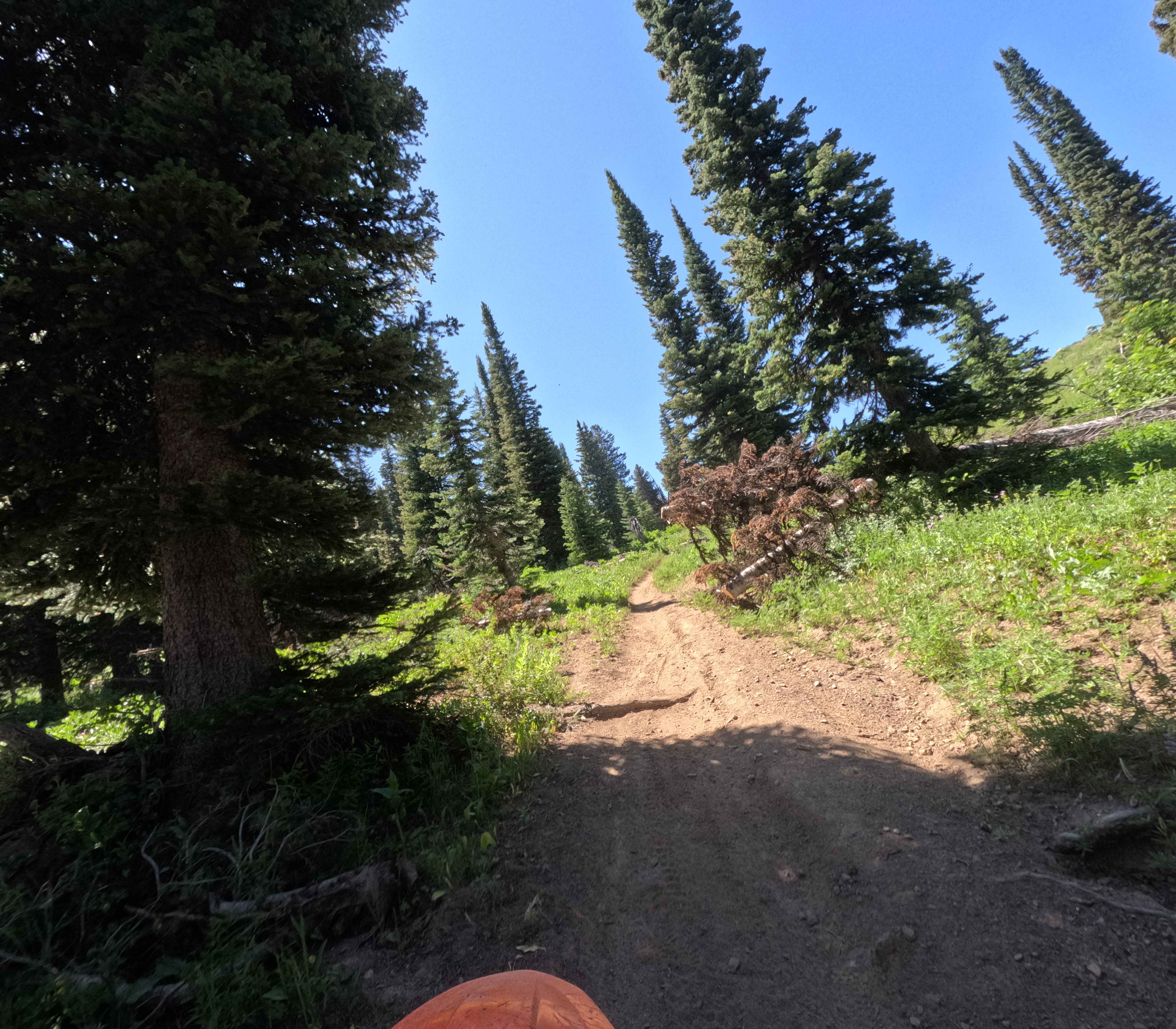 Bloomington/Highline (3372)