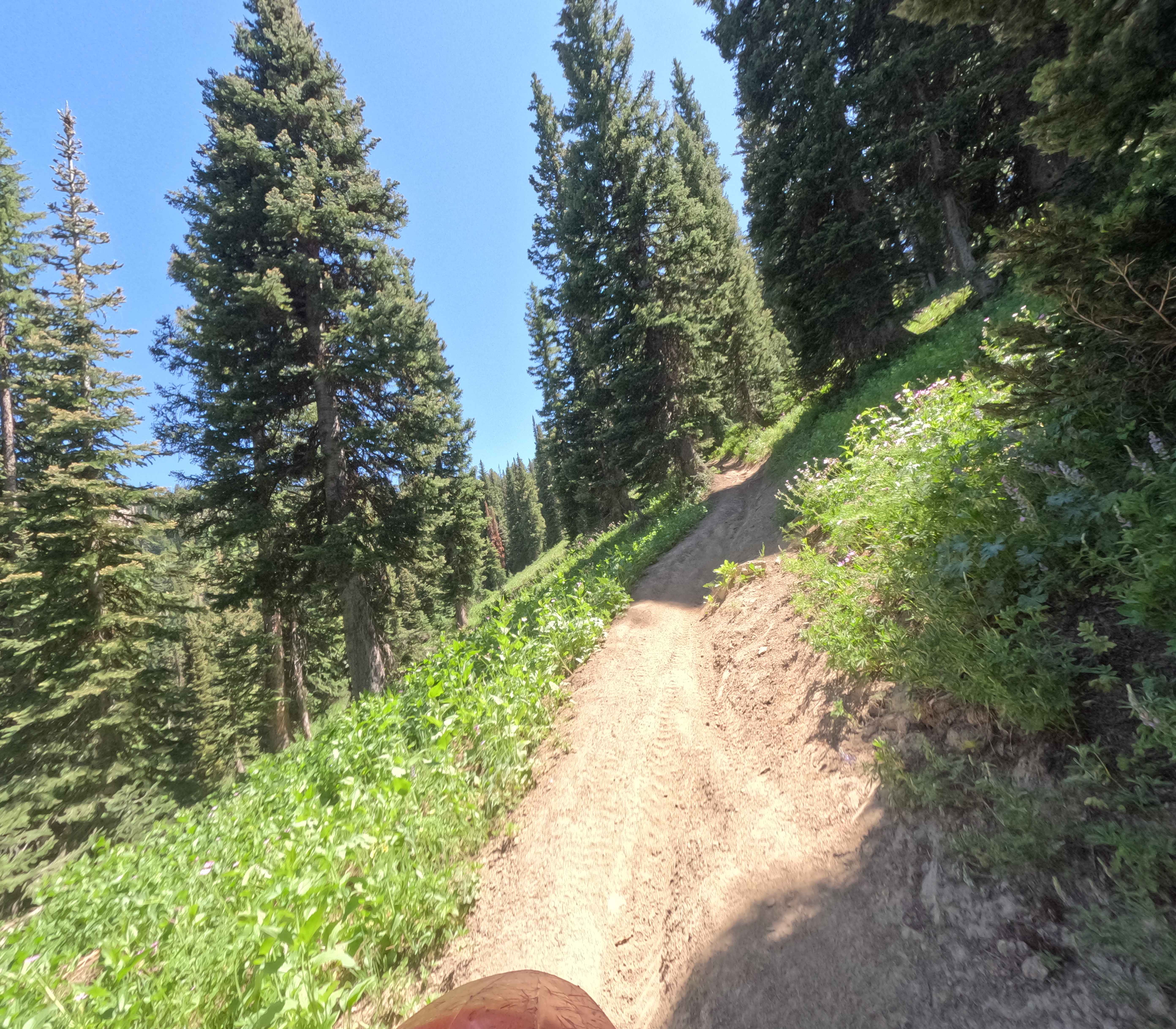 Bloomington/Highline (3372)