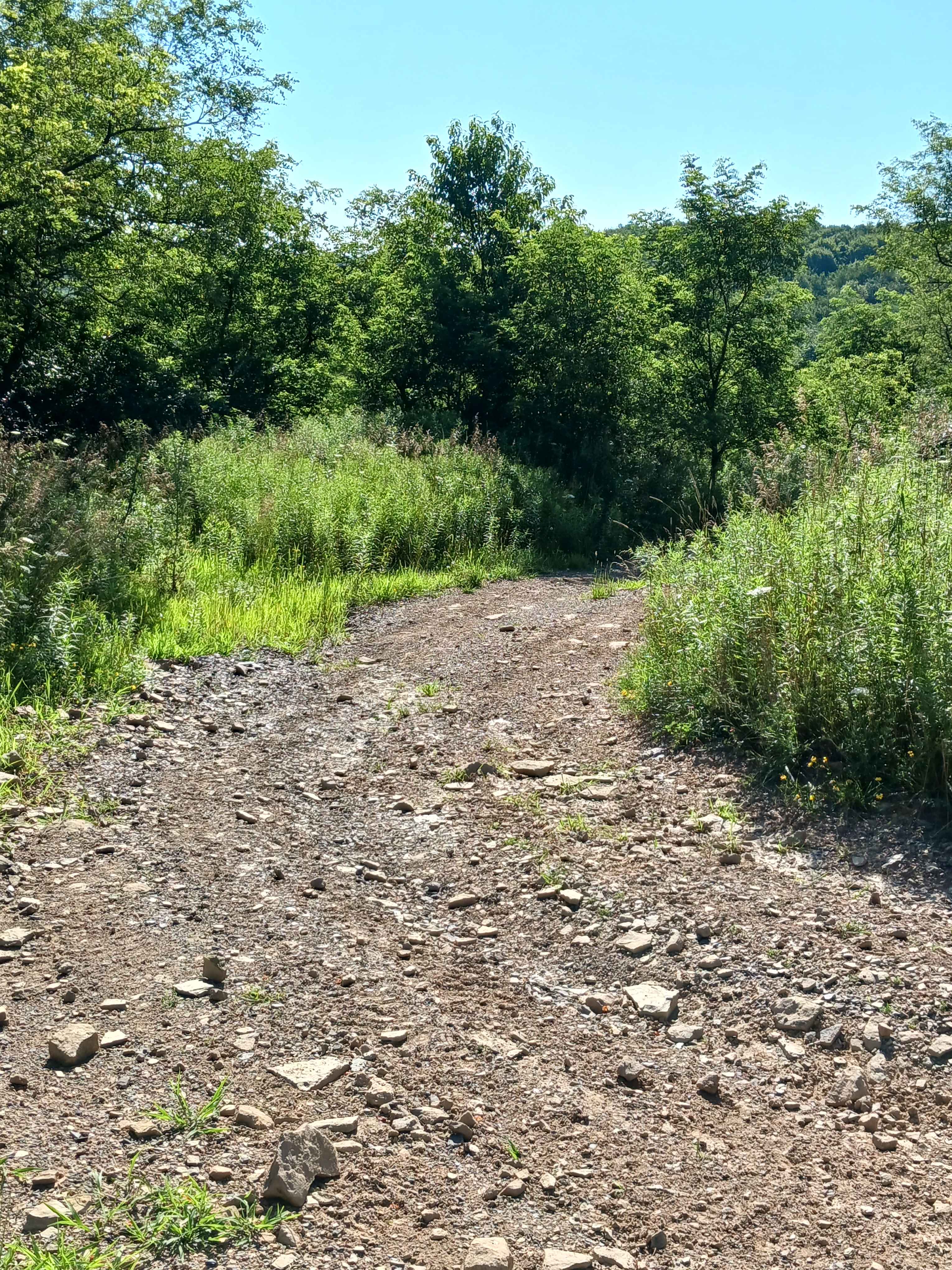 Trail 12O - Rock Run Recreation Area