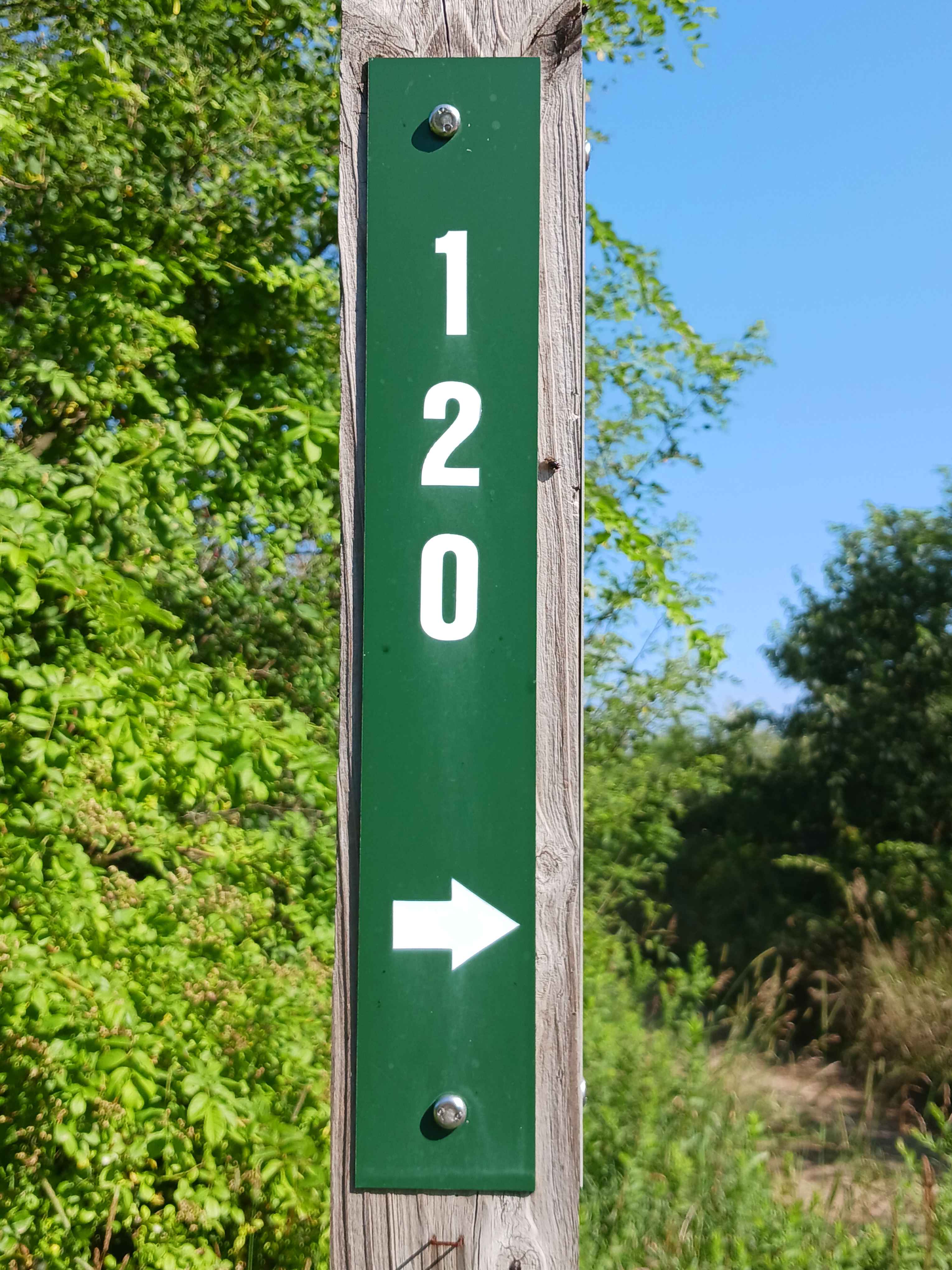 Trail 12O - Rock Run Recreation Area