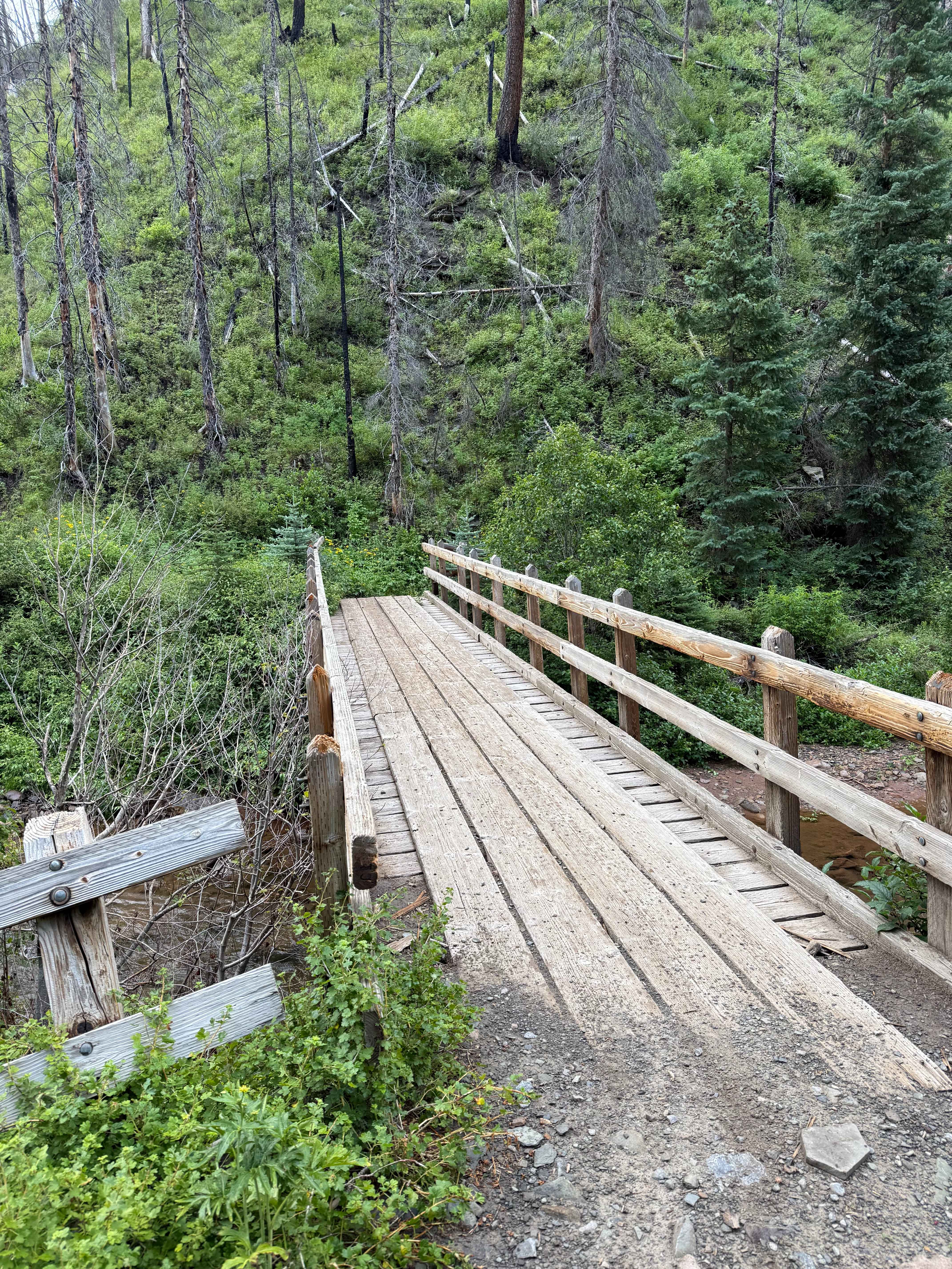 Hermosa Creek Trail (514)