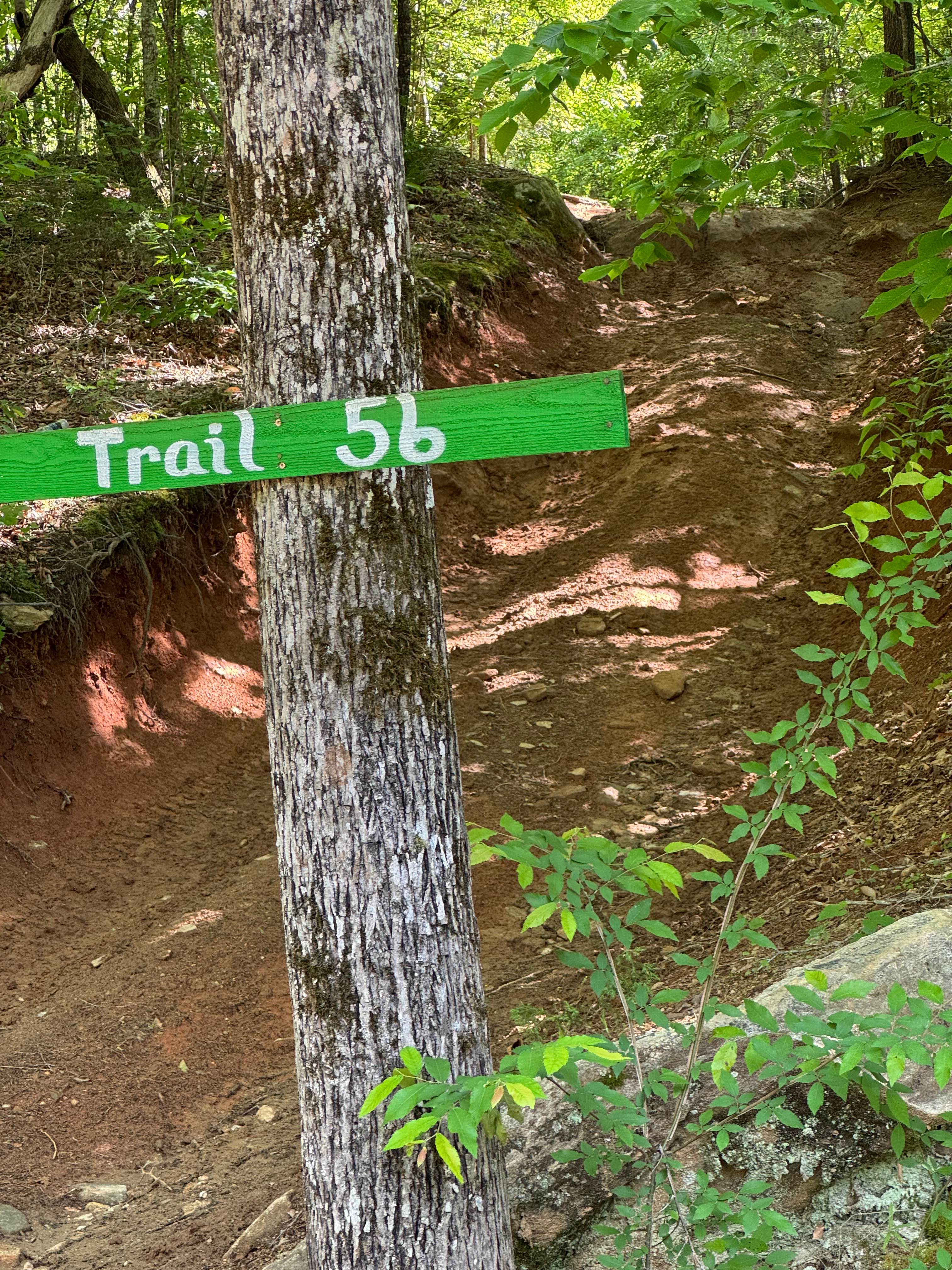 Trail 56