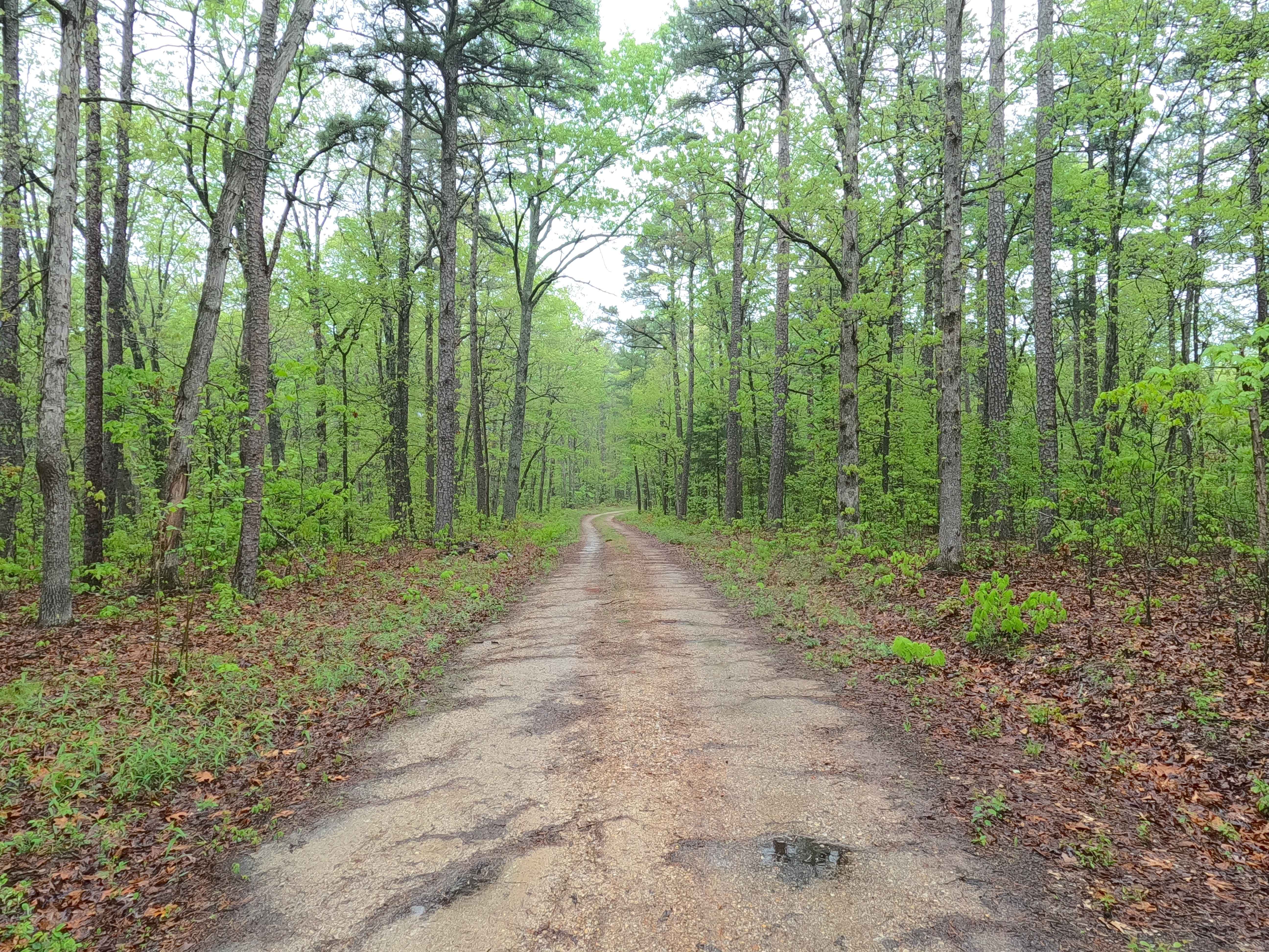 Ironwash Spur A - FS 2664A