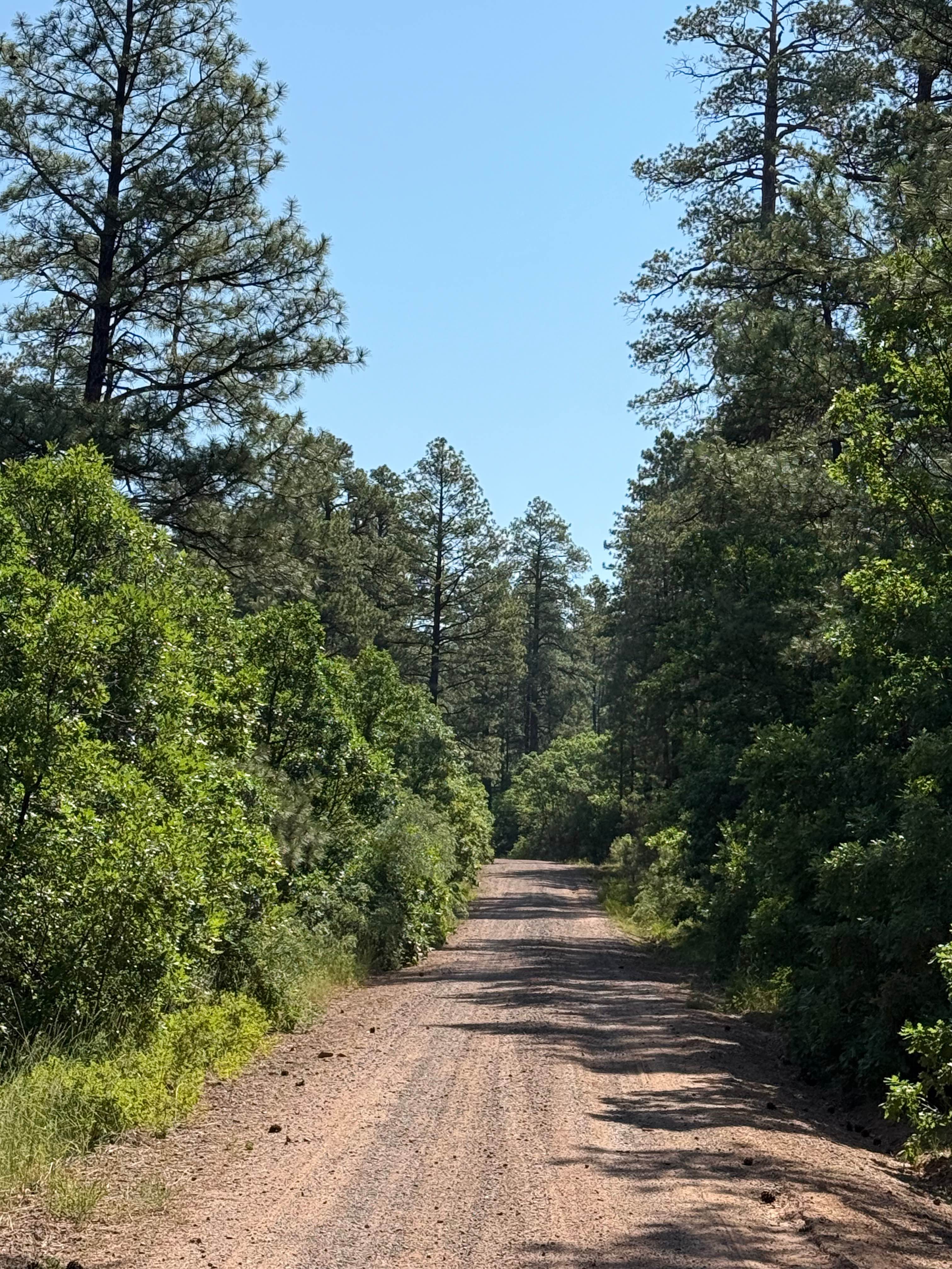 West Trail Creek - FR 20