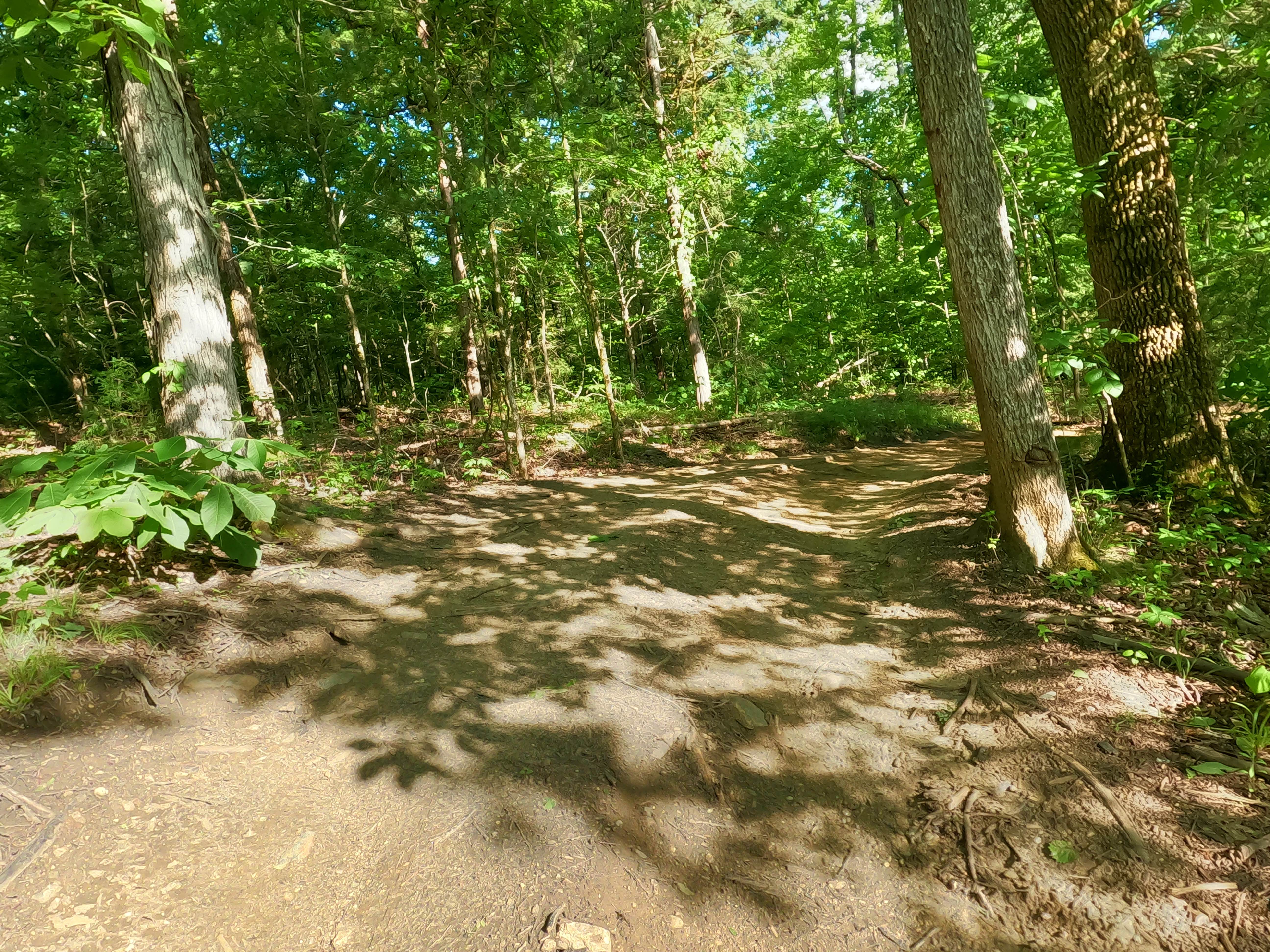 Volunteer Bridge Bypass