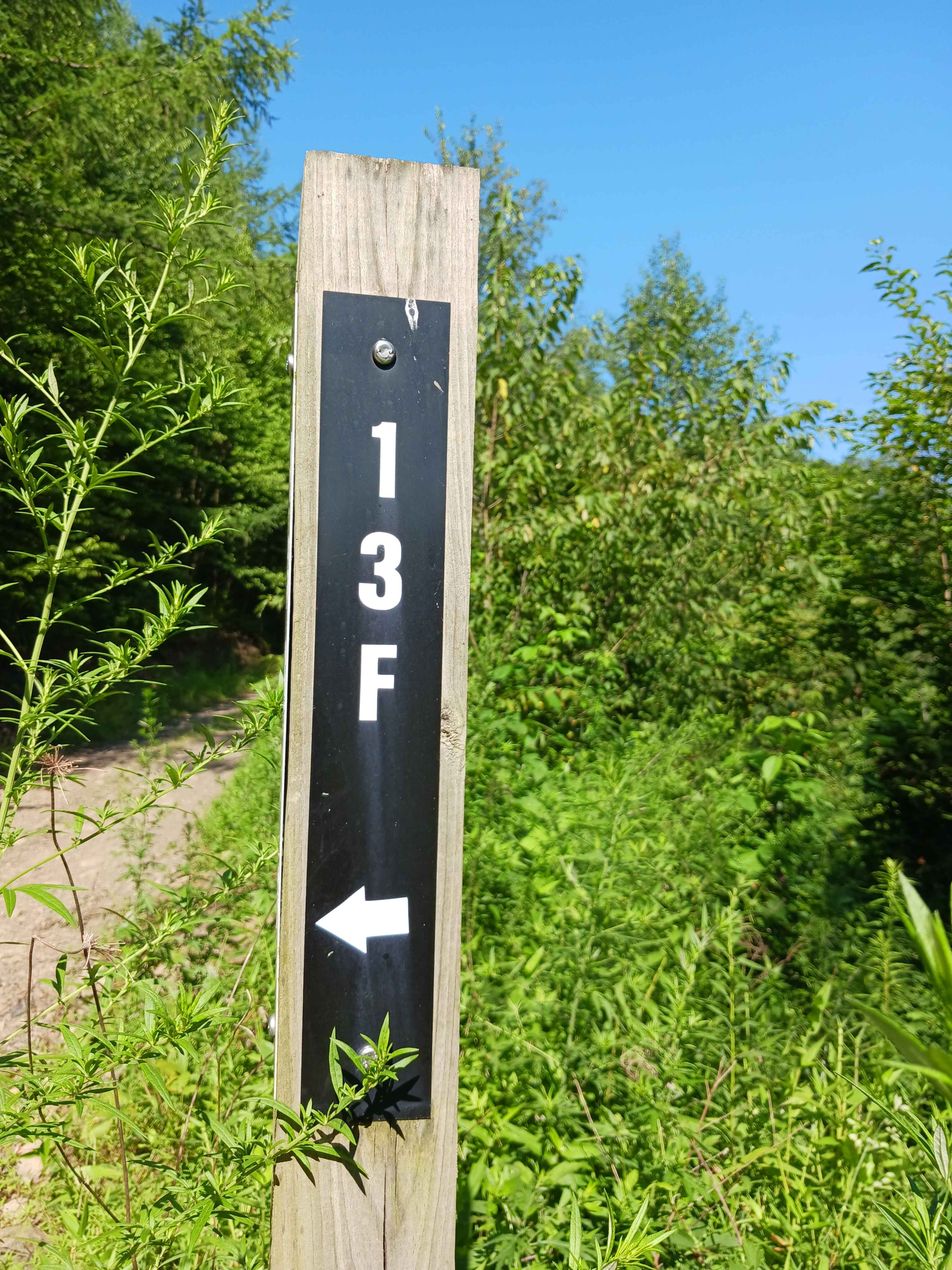 Trail 13F - Rock Run Recreation Area