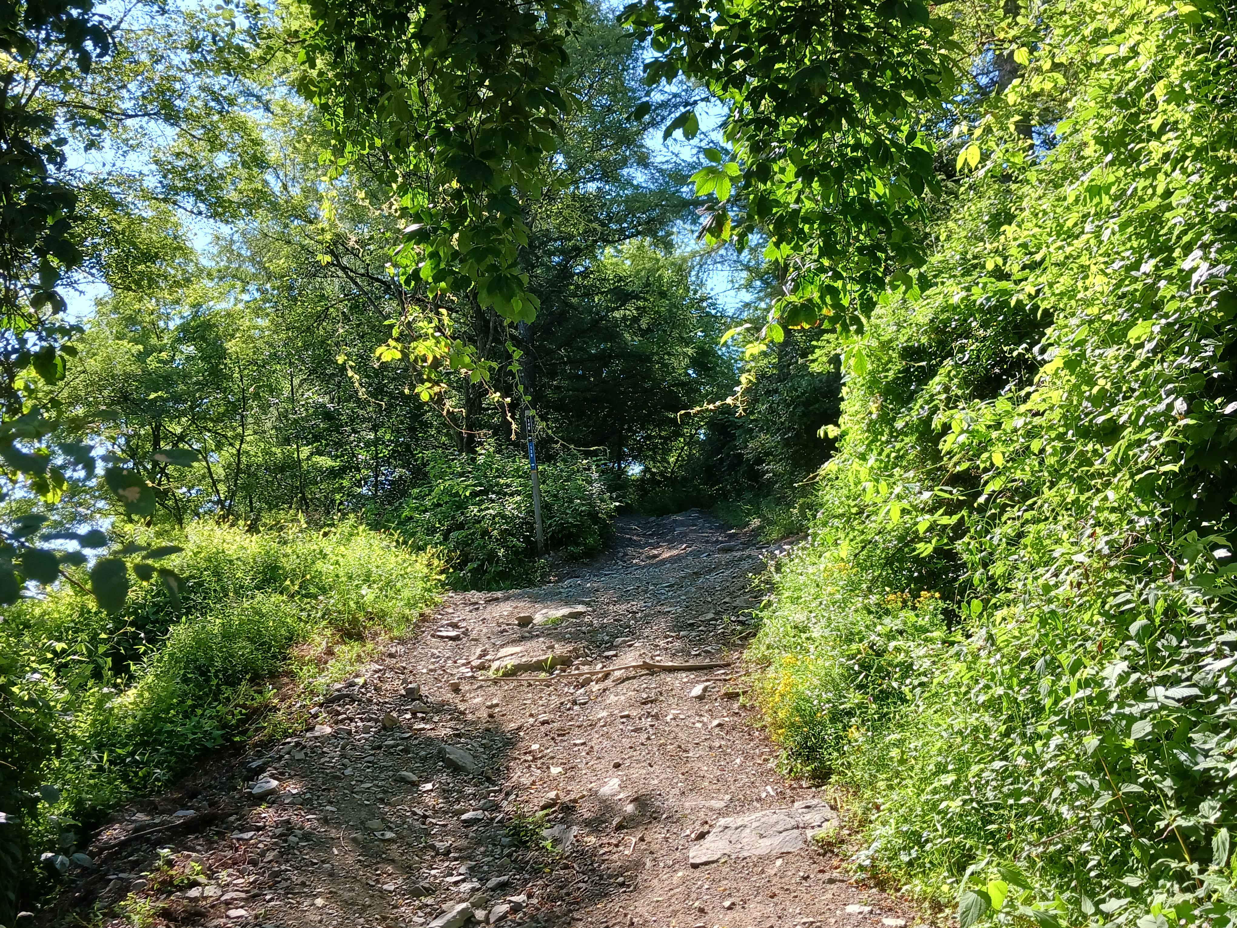 Trail 13F - Rock Run Recreation Area