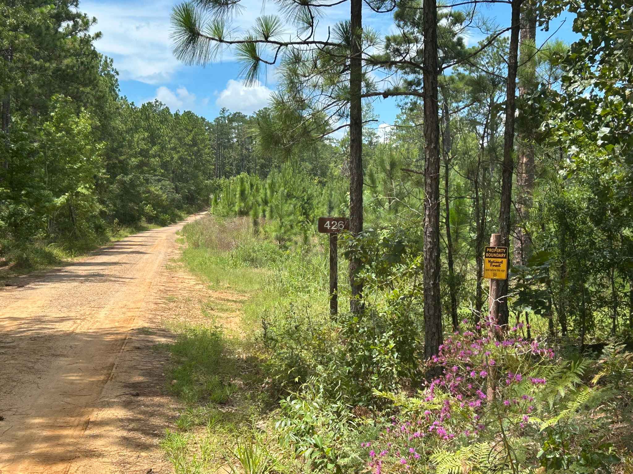 Perry Mountain Road FS426 Part 1