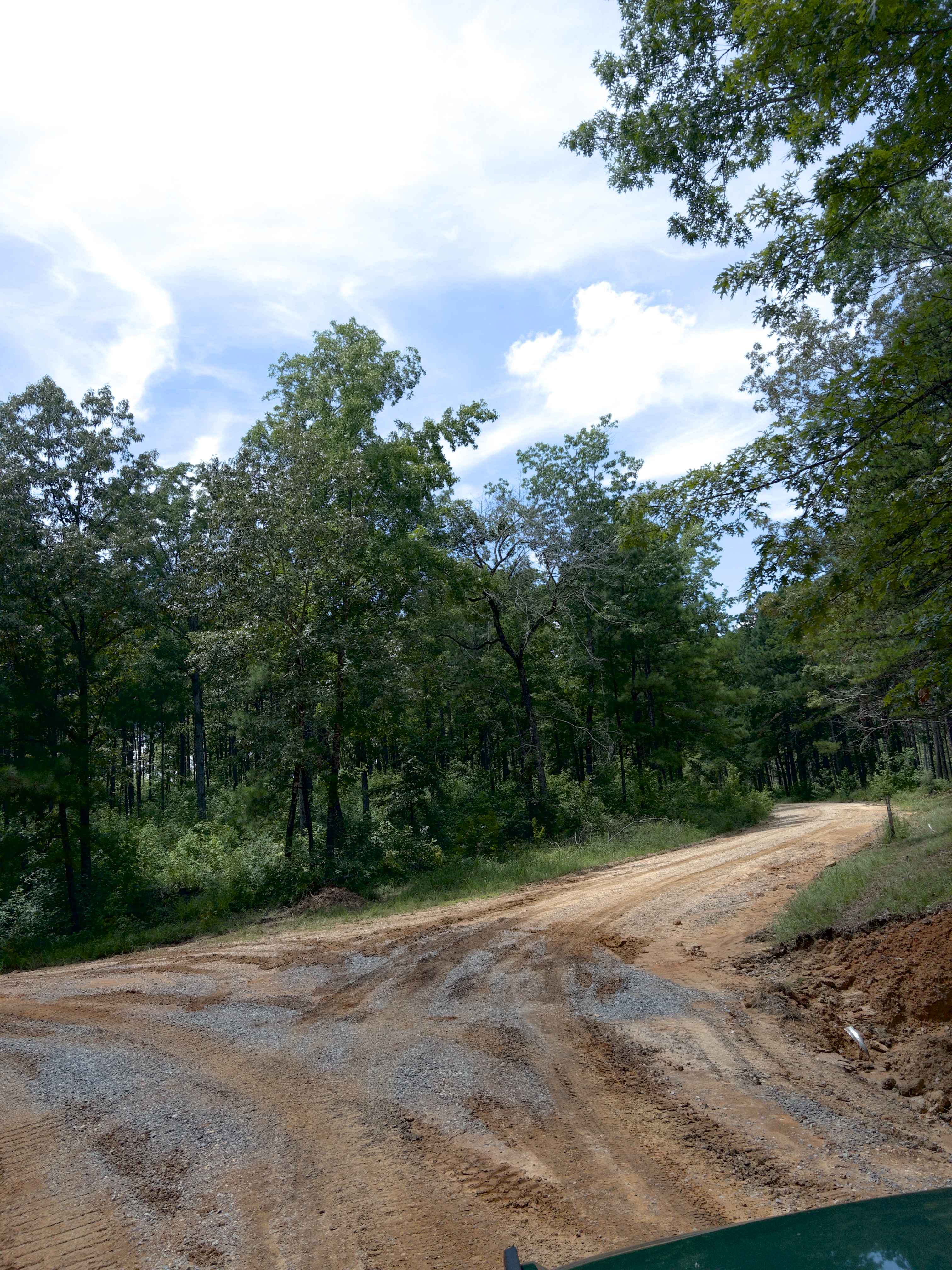 Maddox Cut - FS 418a