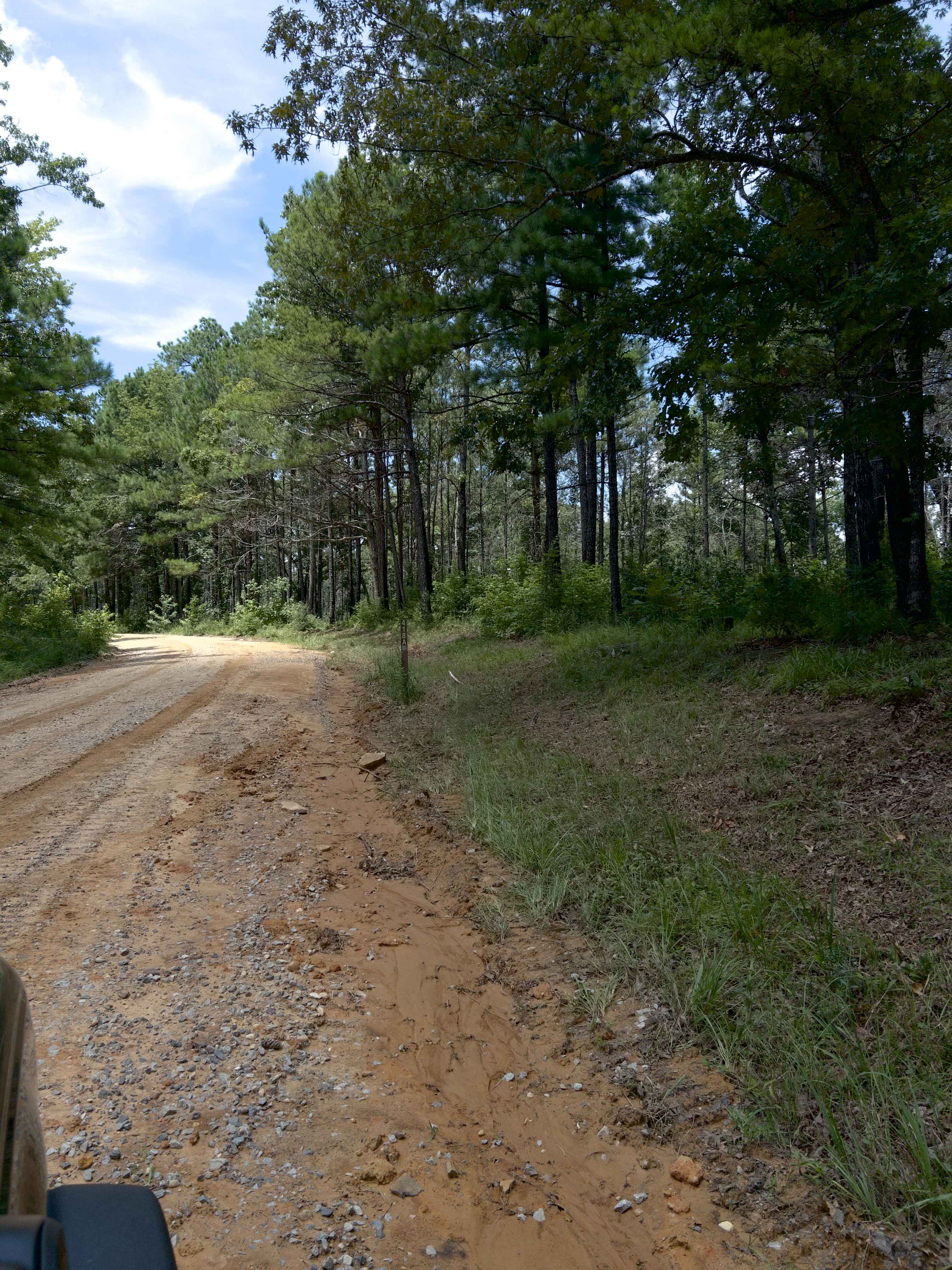 Maddox Cut - FS 418a