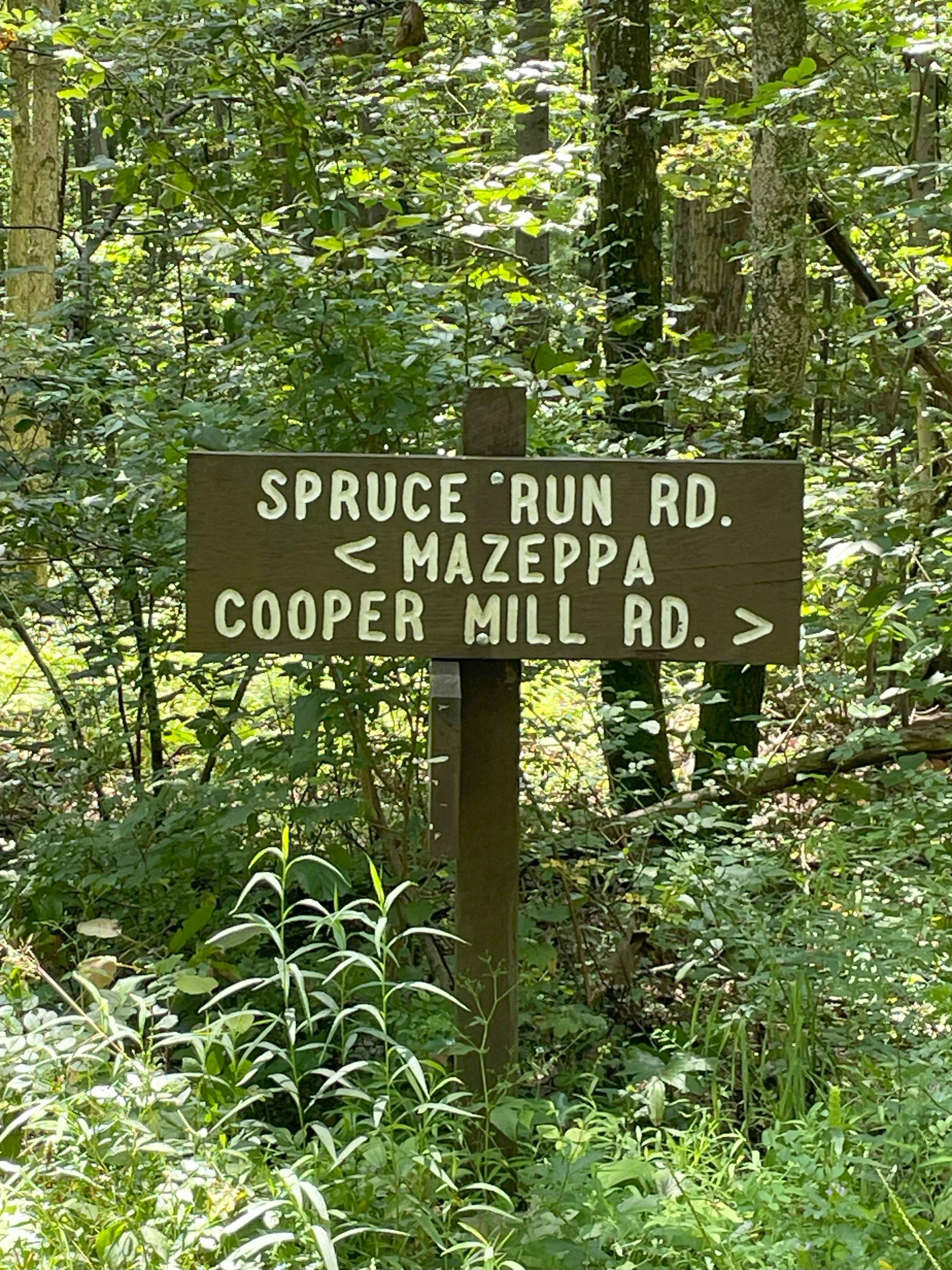 Spruce Run Road