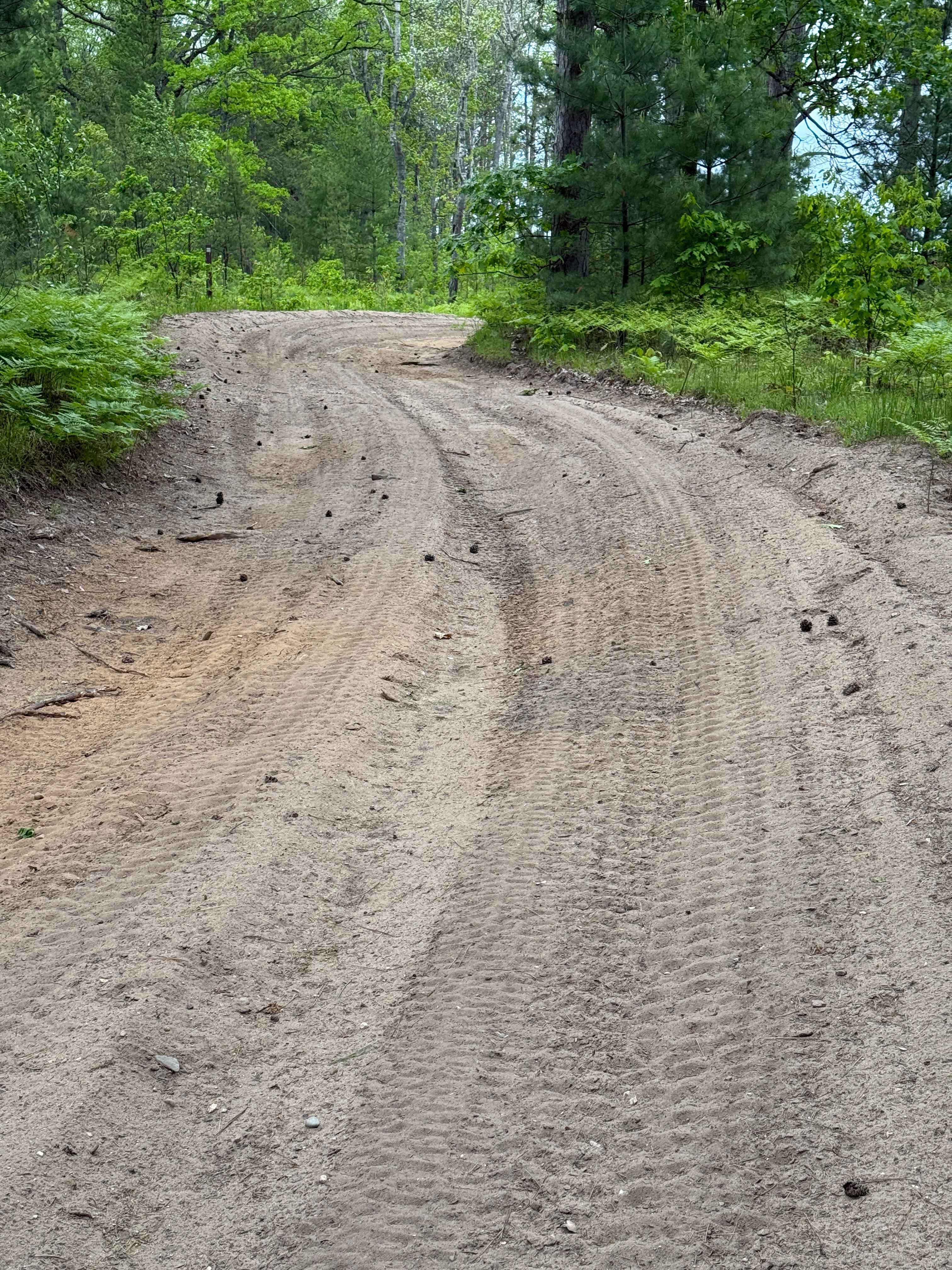 South River Road Trail