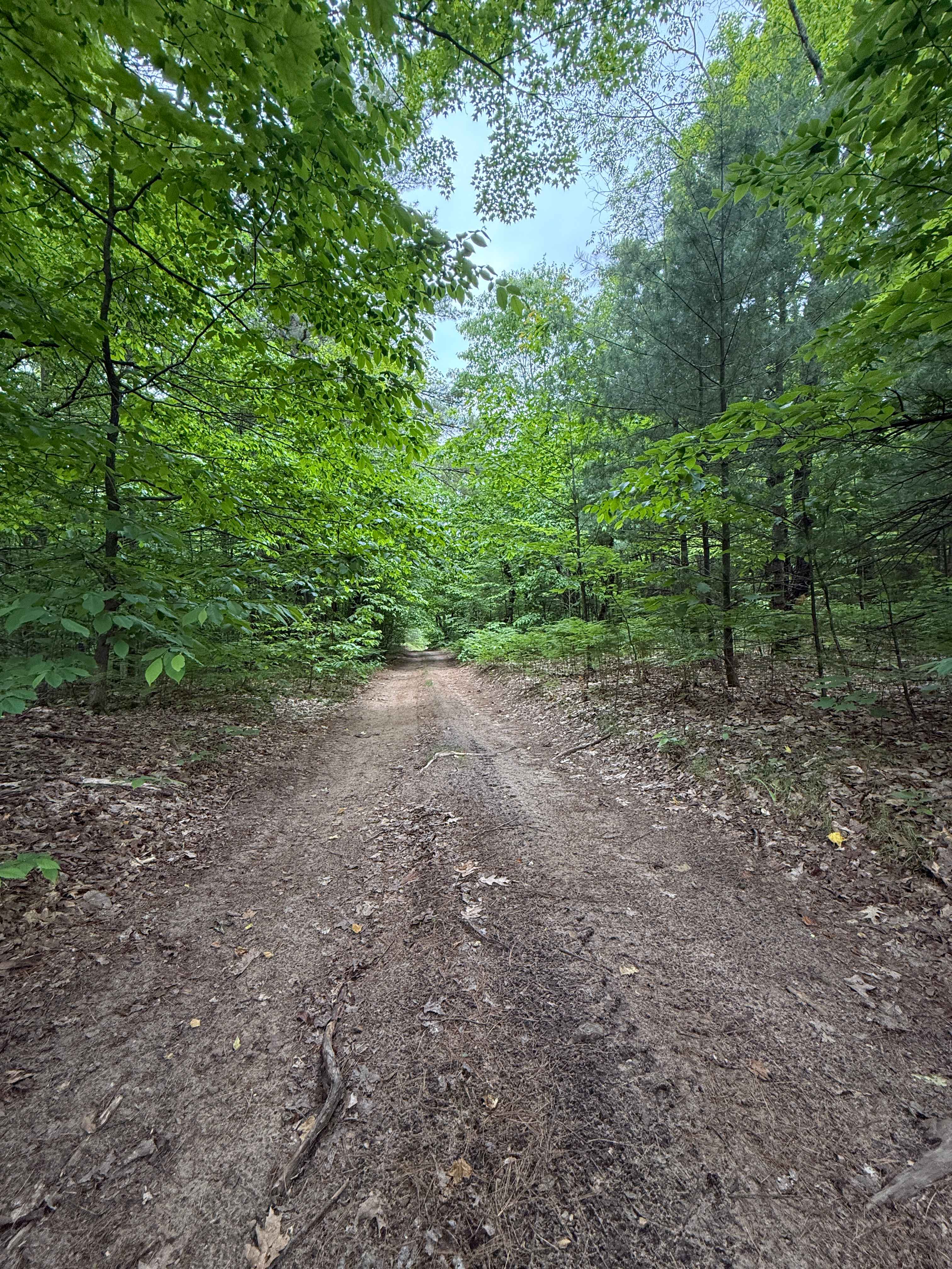 Island Lake North Trail