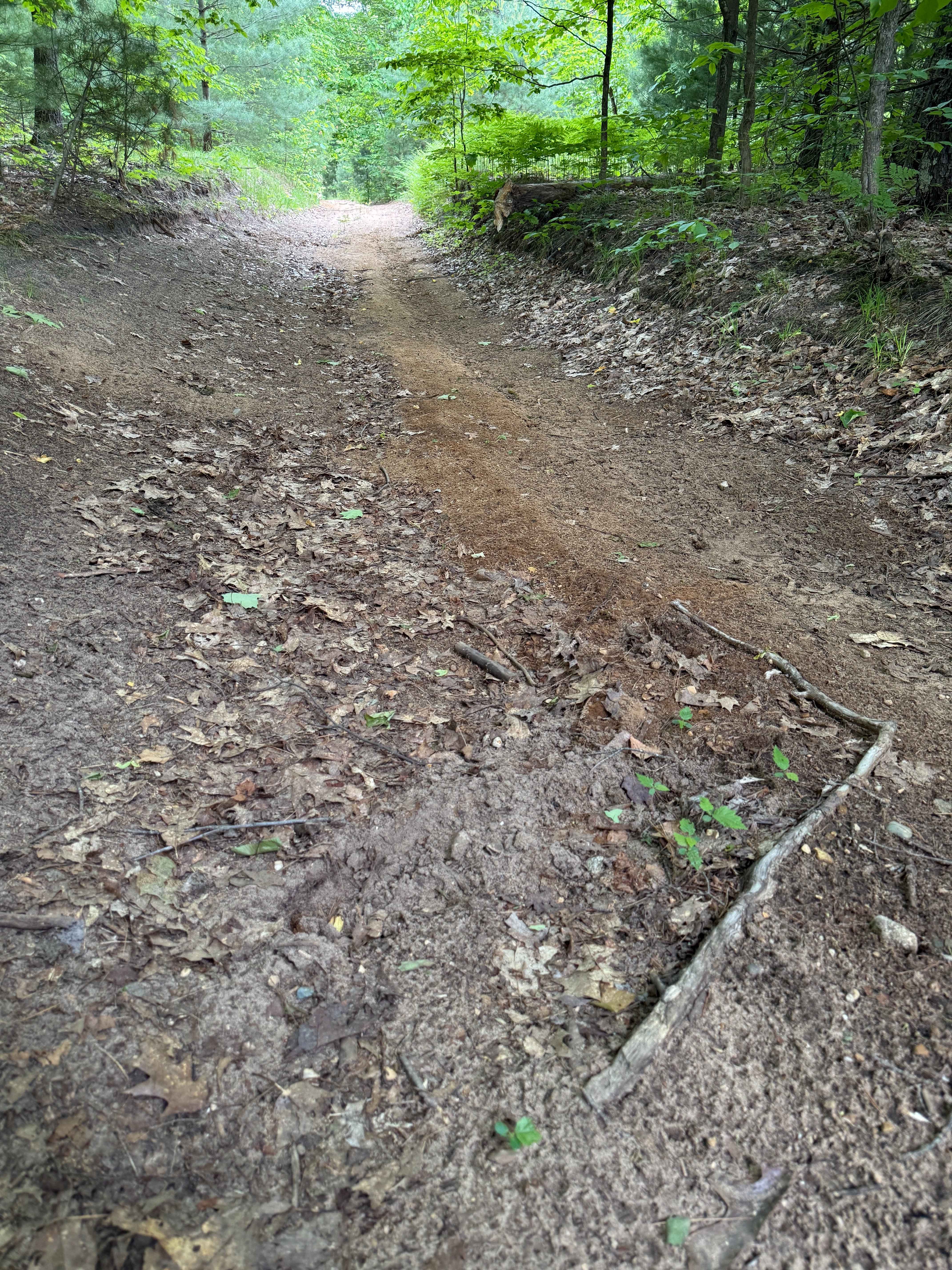 Island Lake North Trail