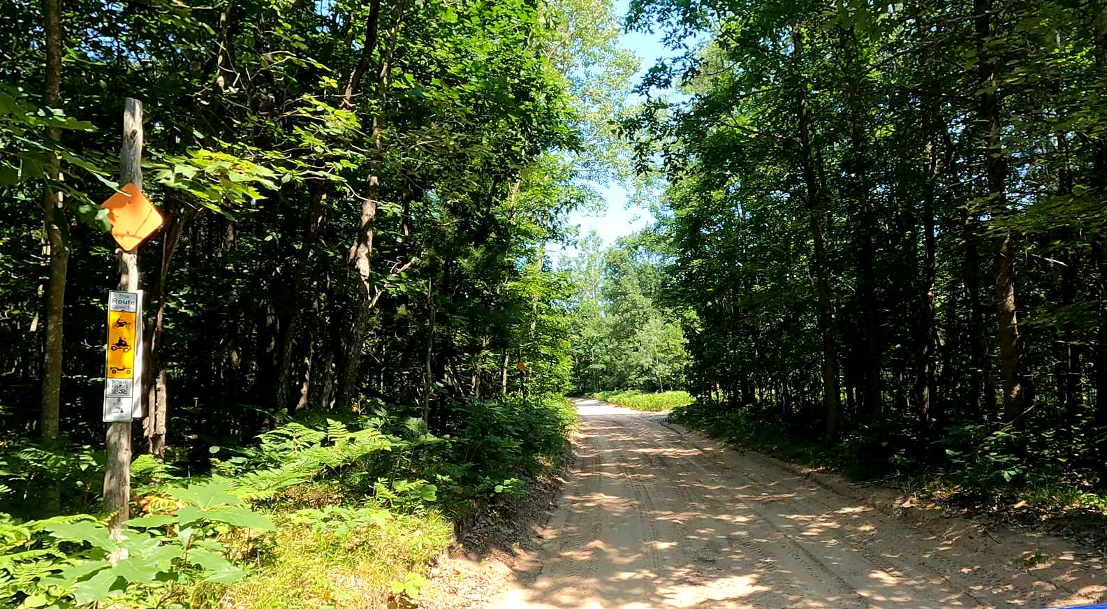 North Missaukee Route & MCCCT Trail/Africa Loop