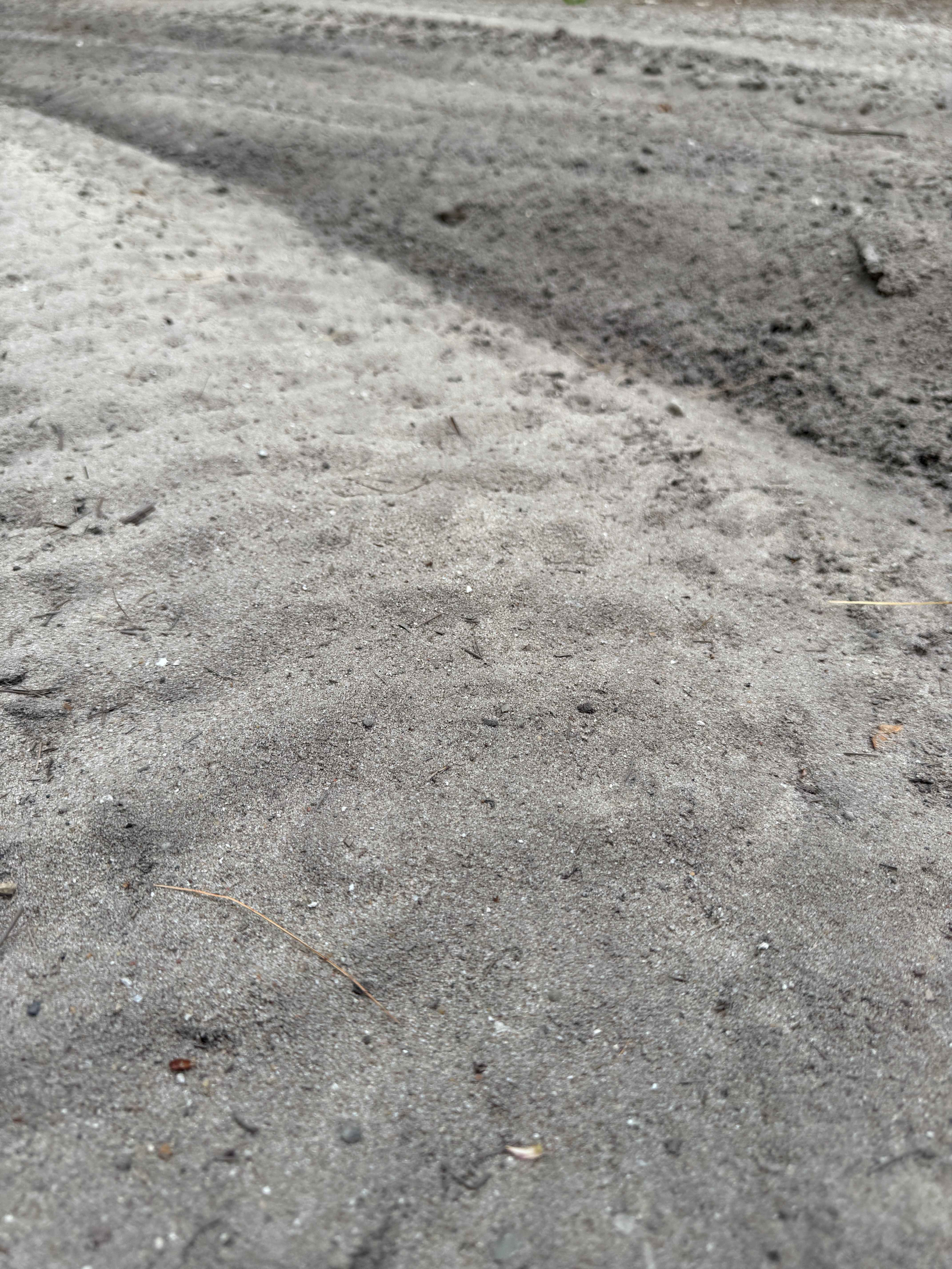 Kalkaska North Mountain Bike Trail