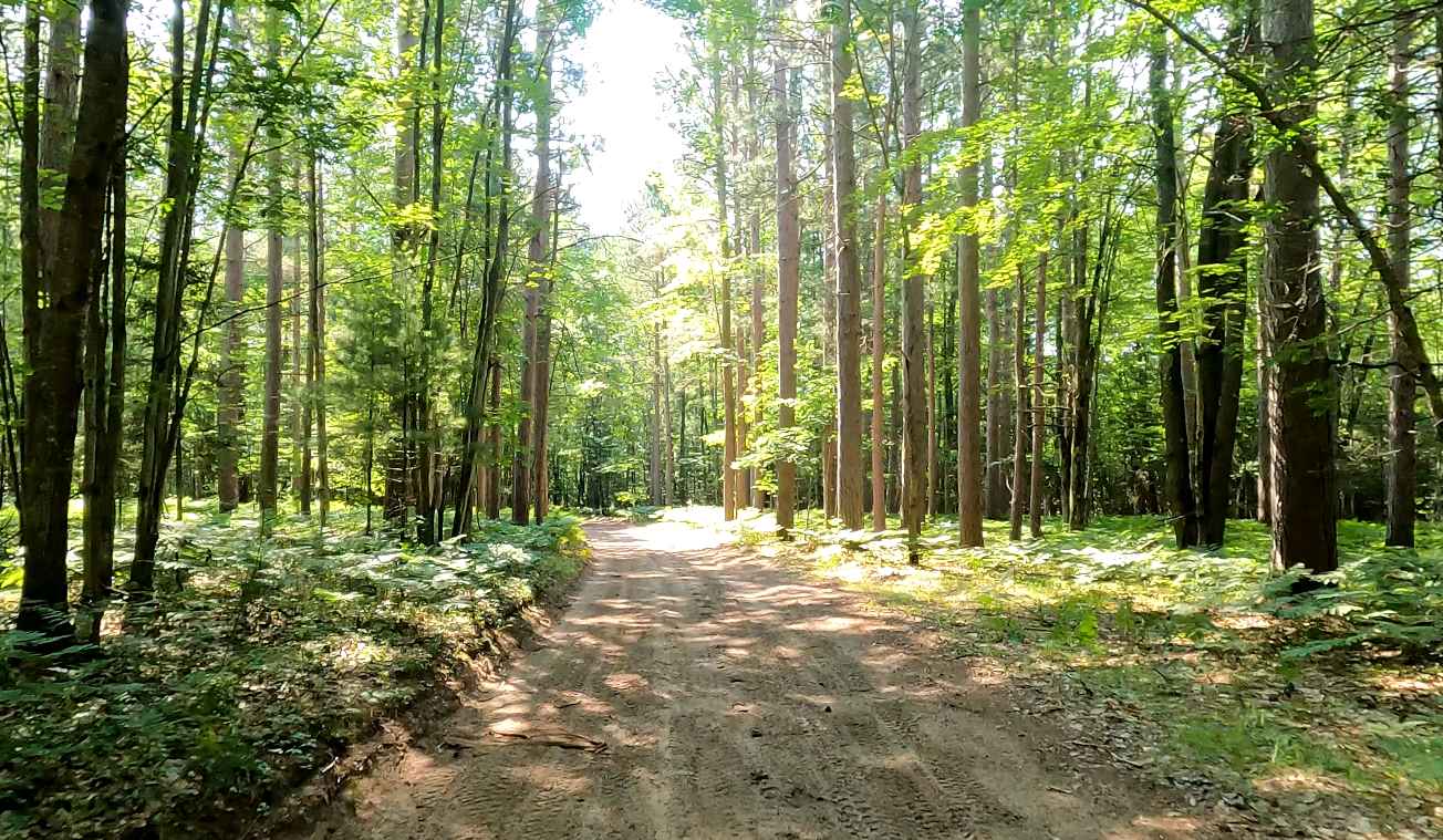 131 To Missaukee Trail