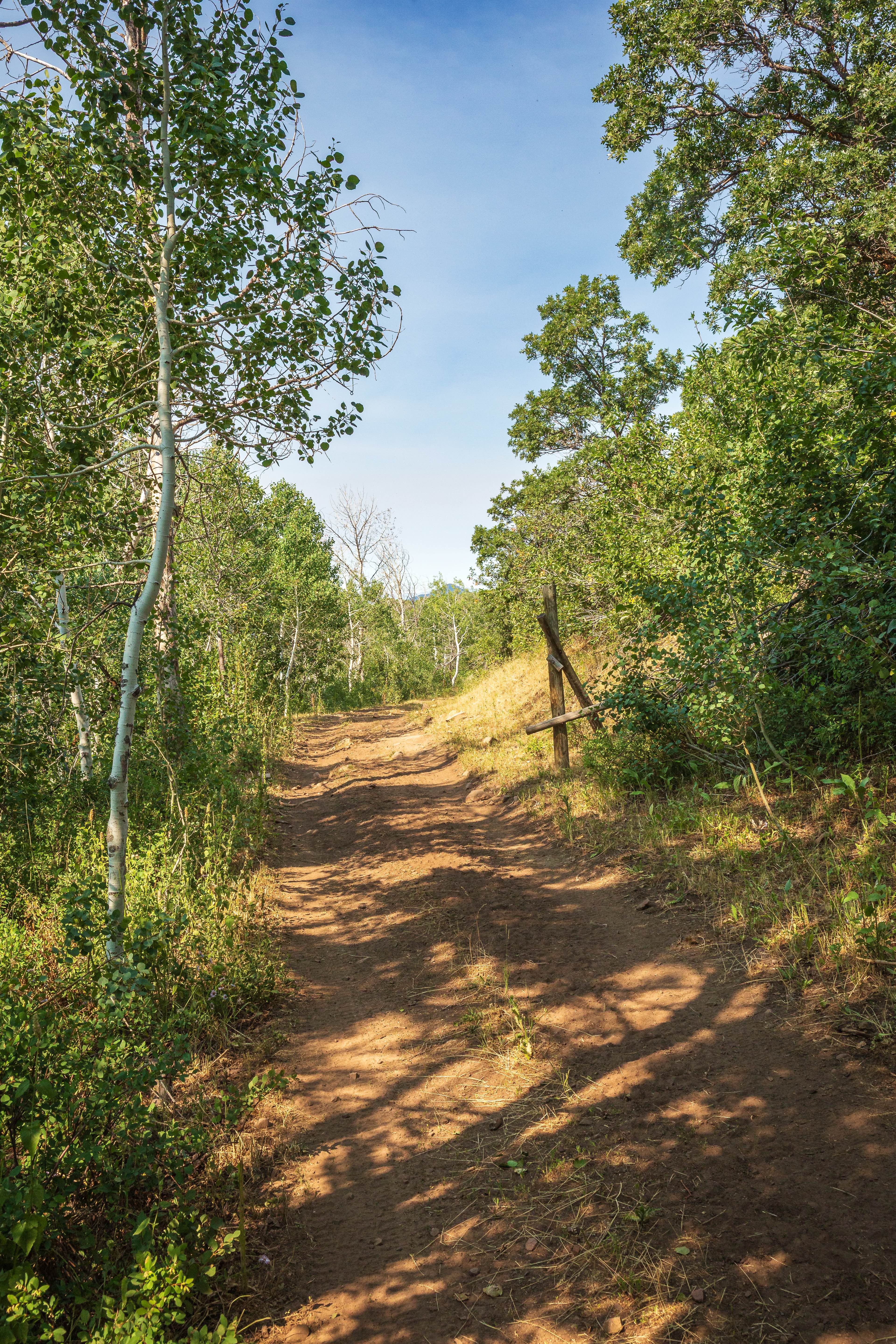 Wardsworth - FS 70153