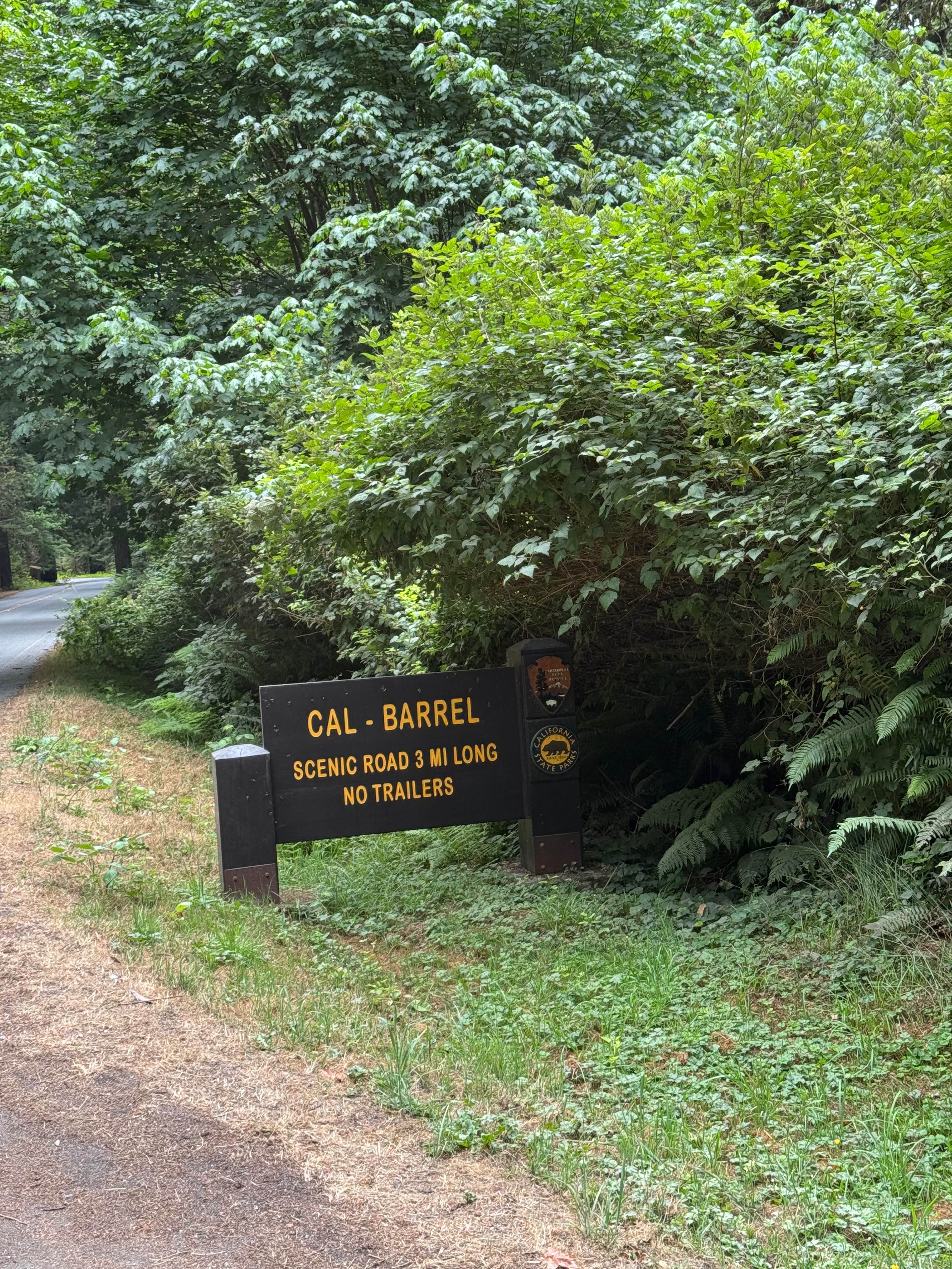 Cal Barrel - Redwood National Park