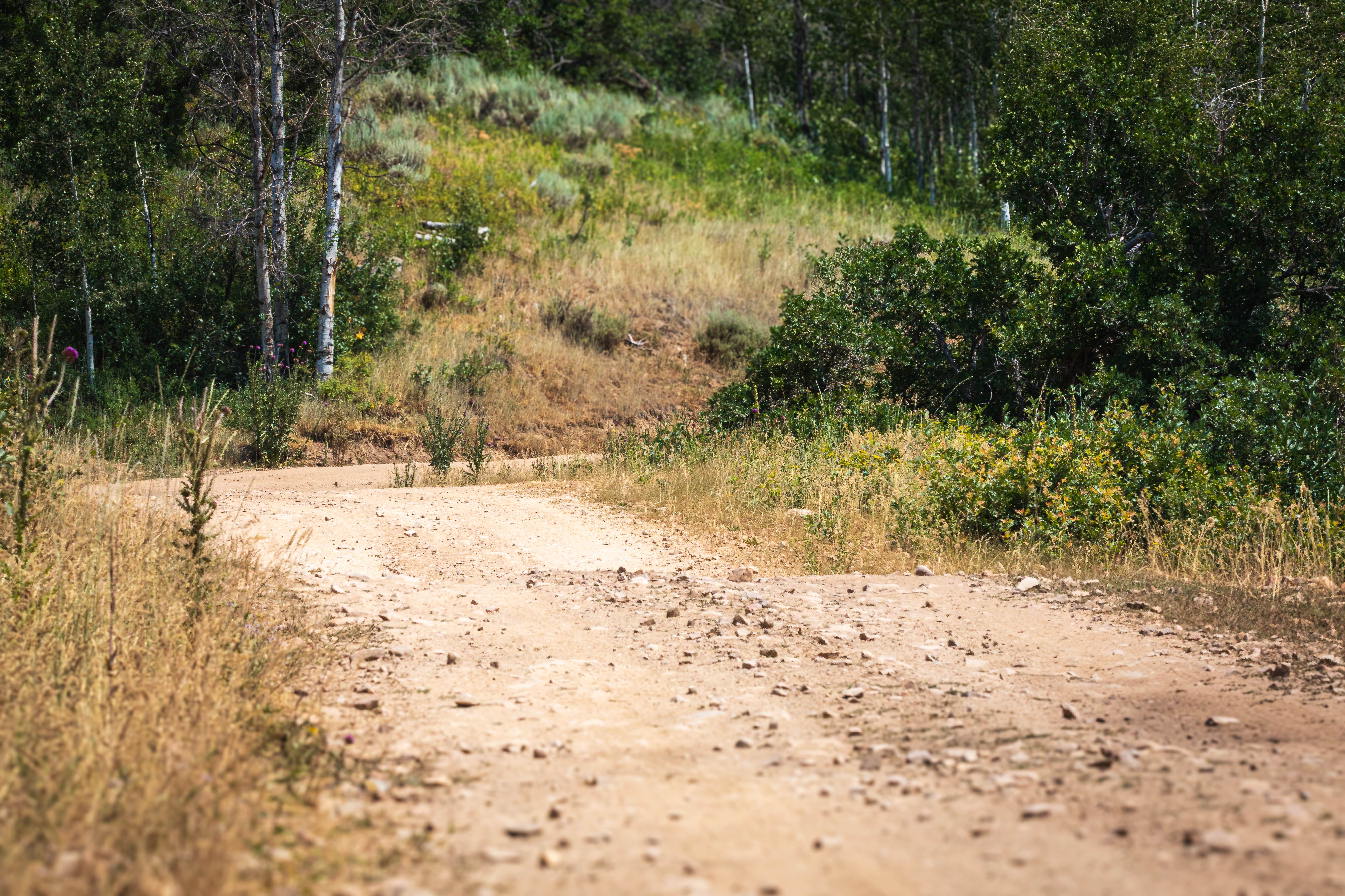 Left Fork Hobble Creek - FS 70132
