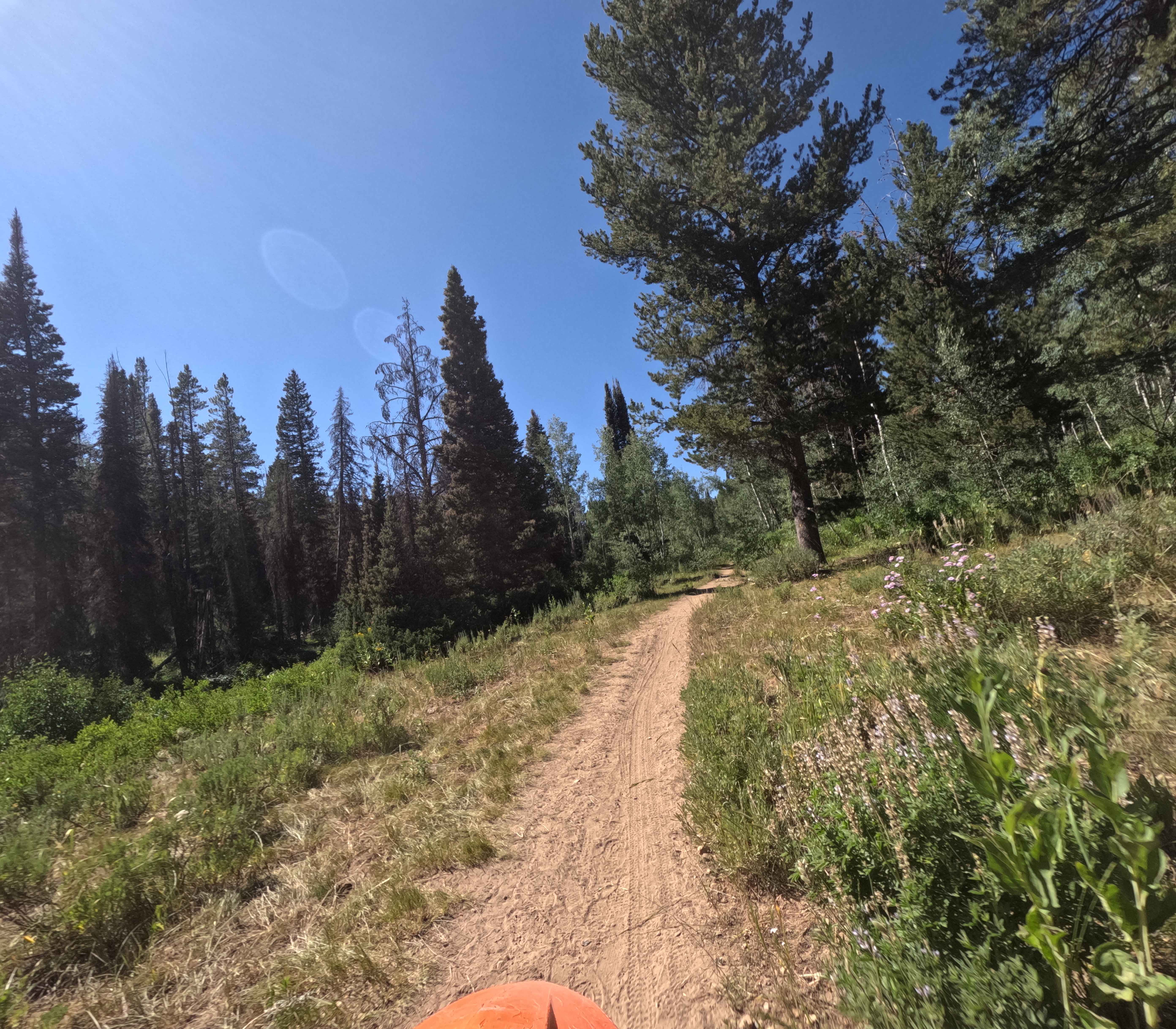 North Fork St. Charles