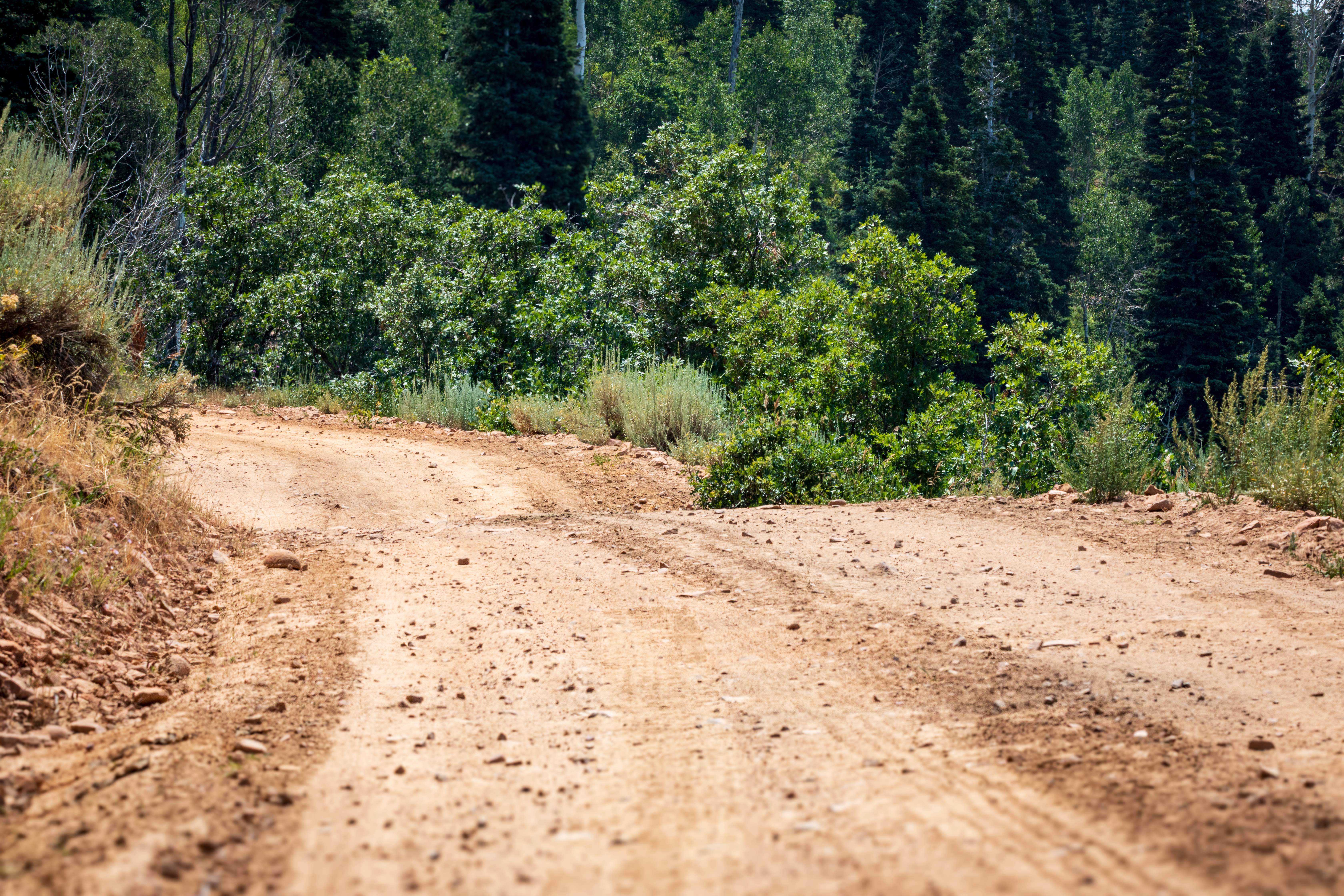 Left Fork Hobble Creek - FS 70147