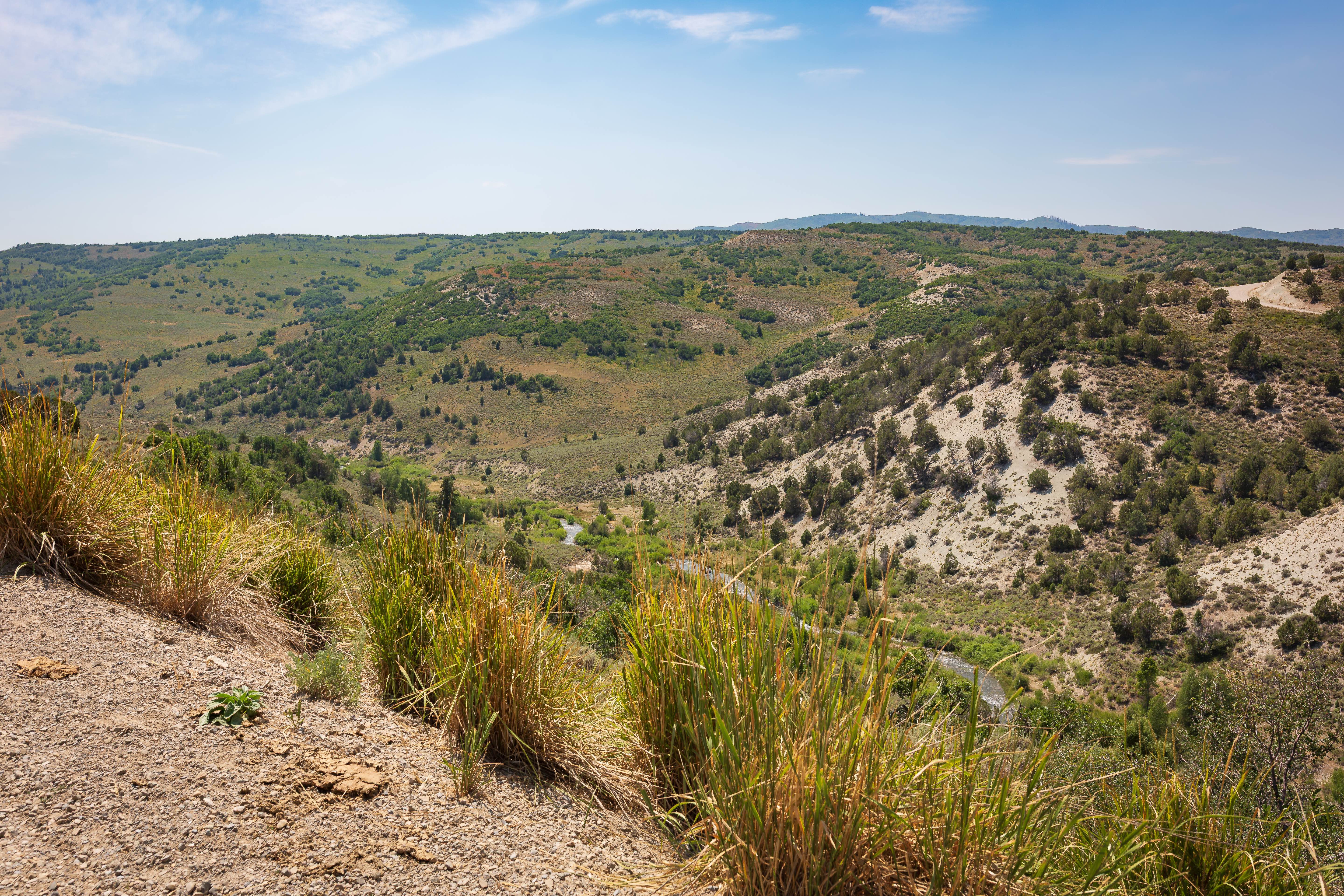 Sheep Creek - FS 70051