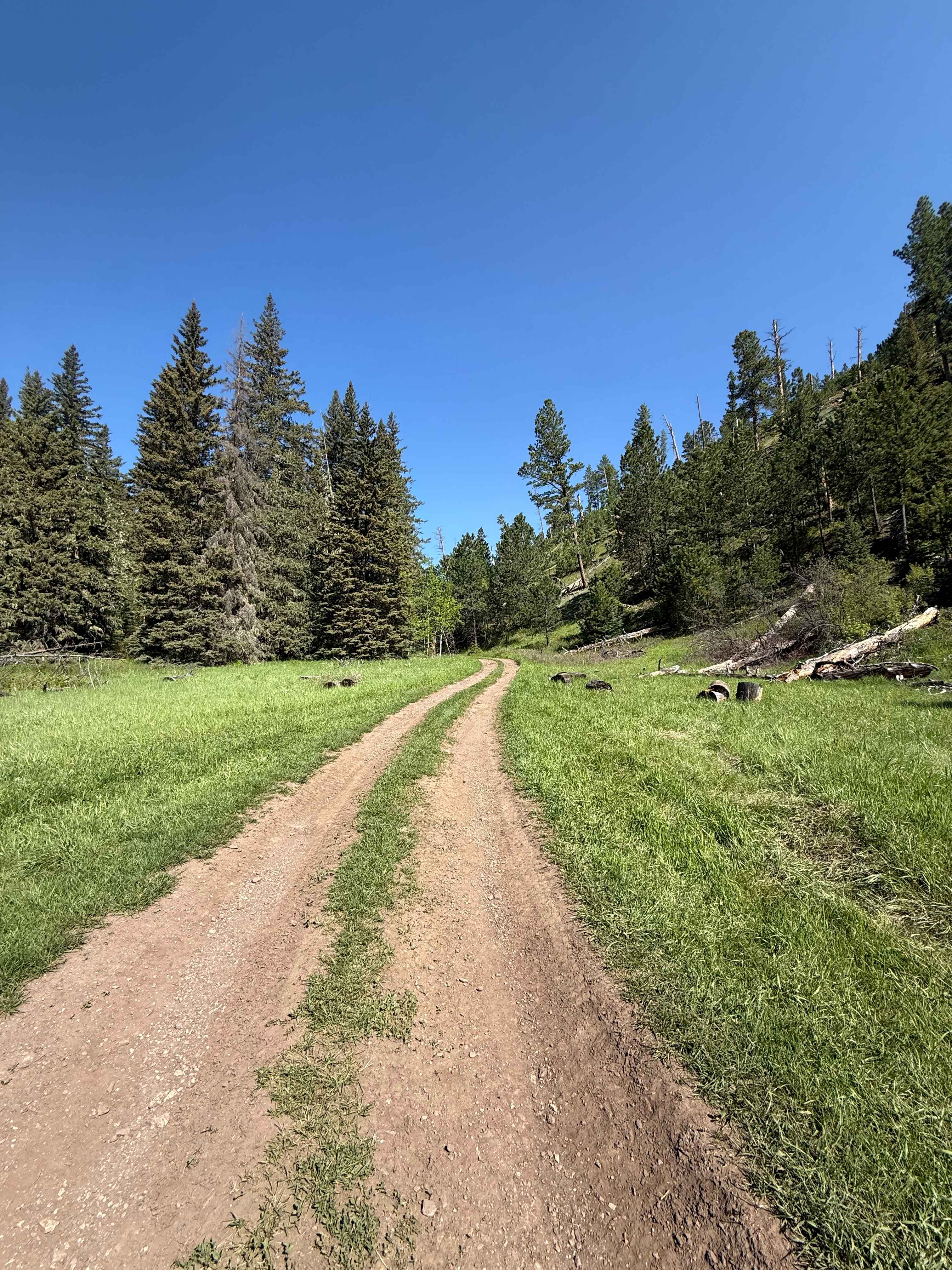 Beaver Draw - FS 233.2D