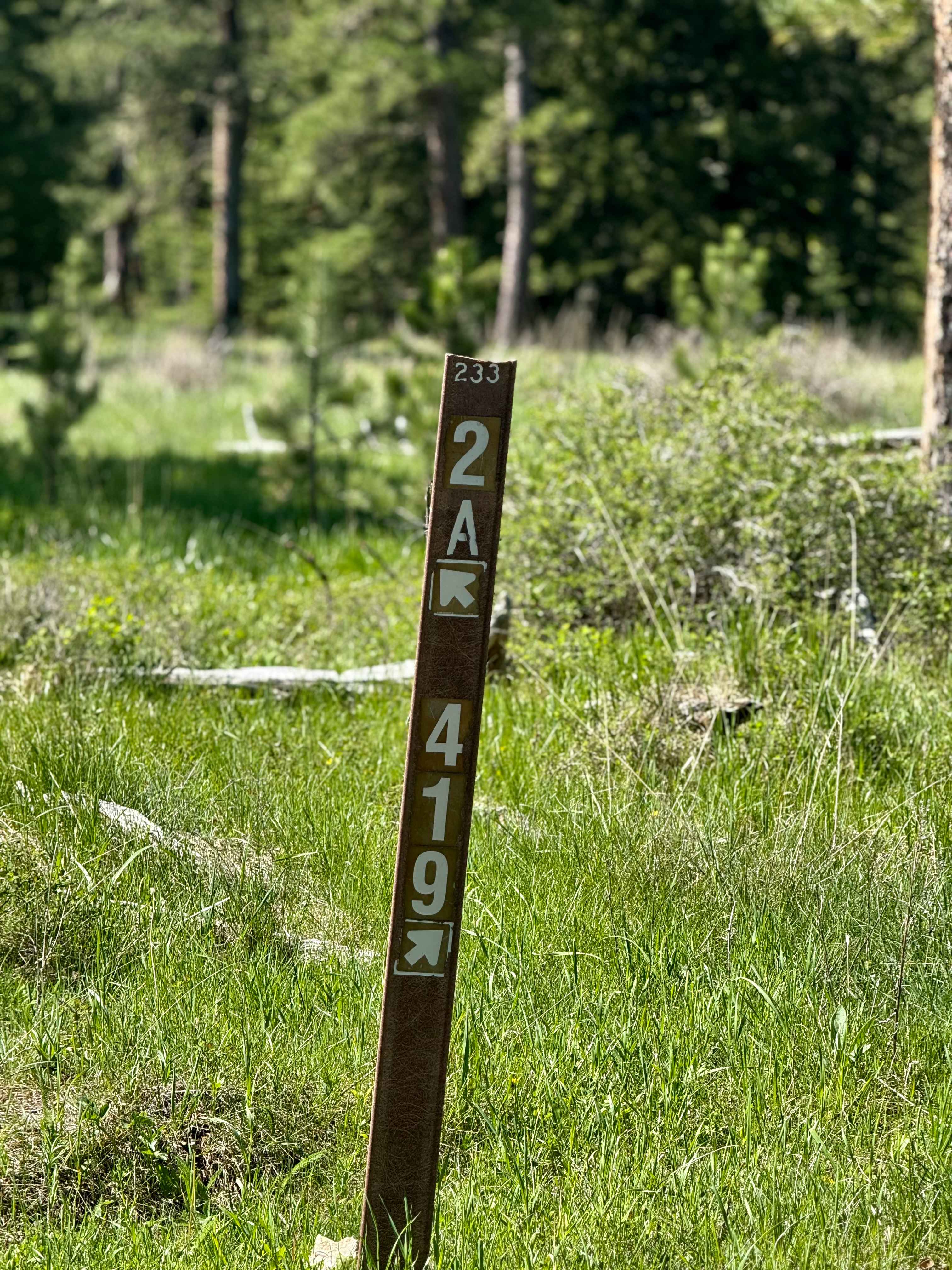 Bombard Draw - FS 419