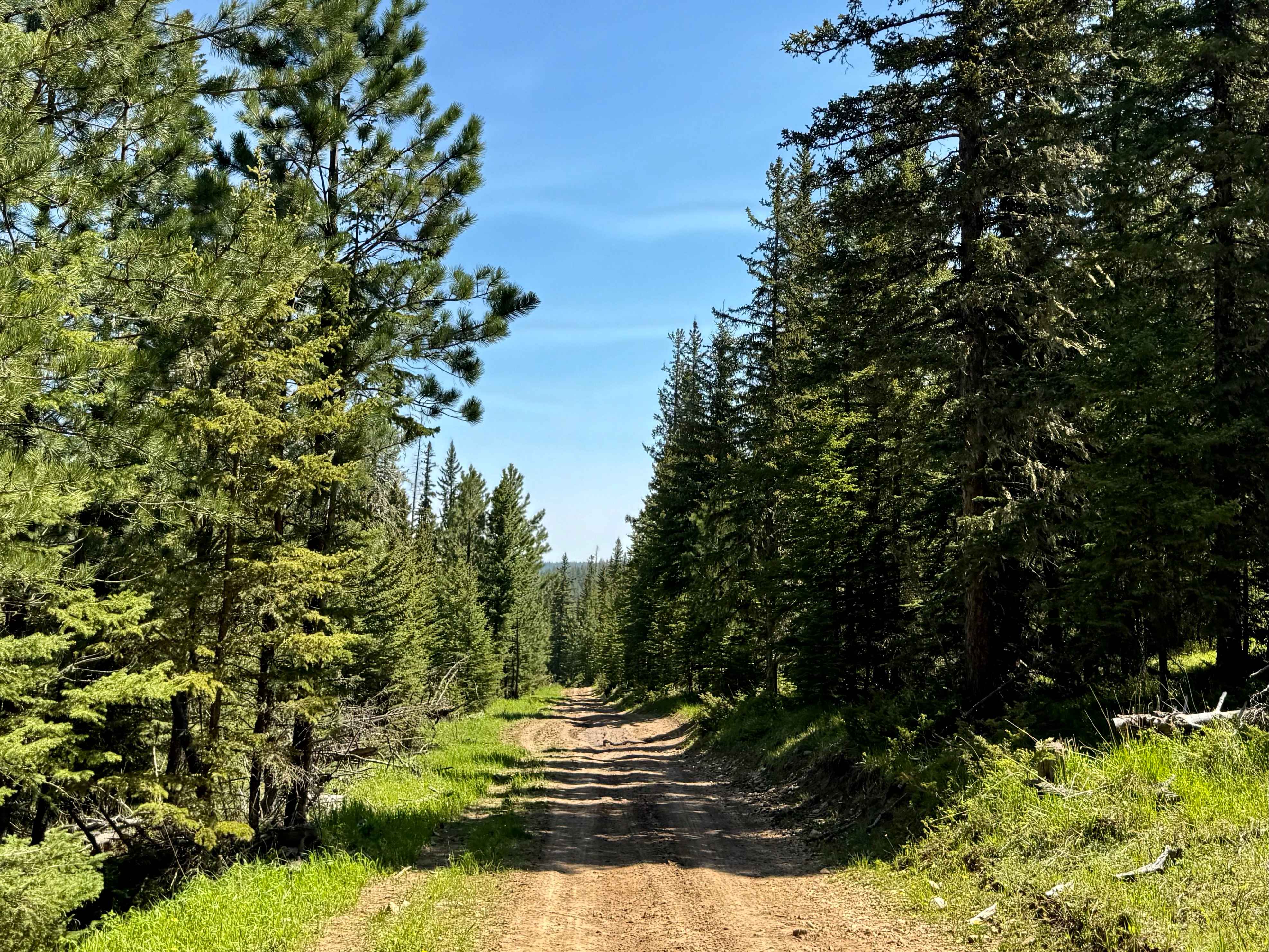 Trebor Draw - FS 631.2