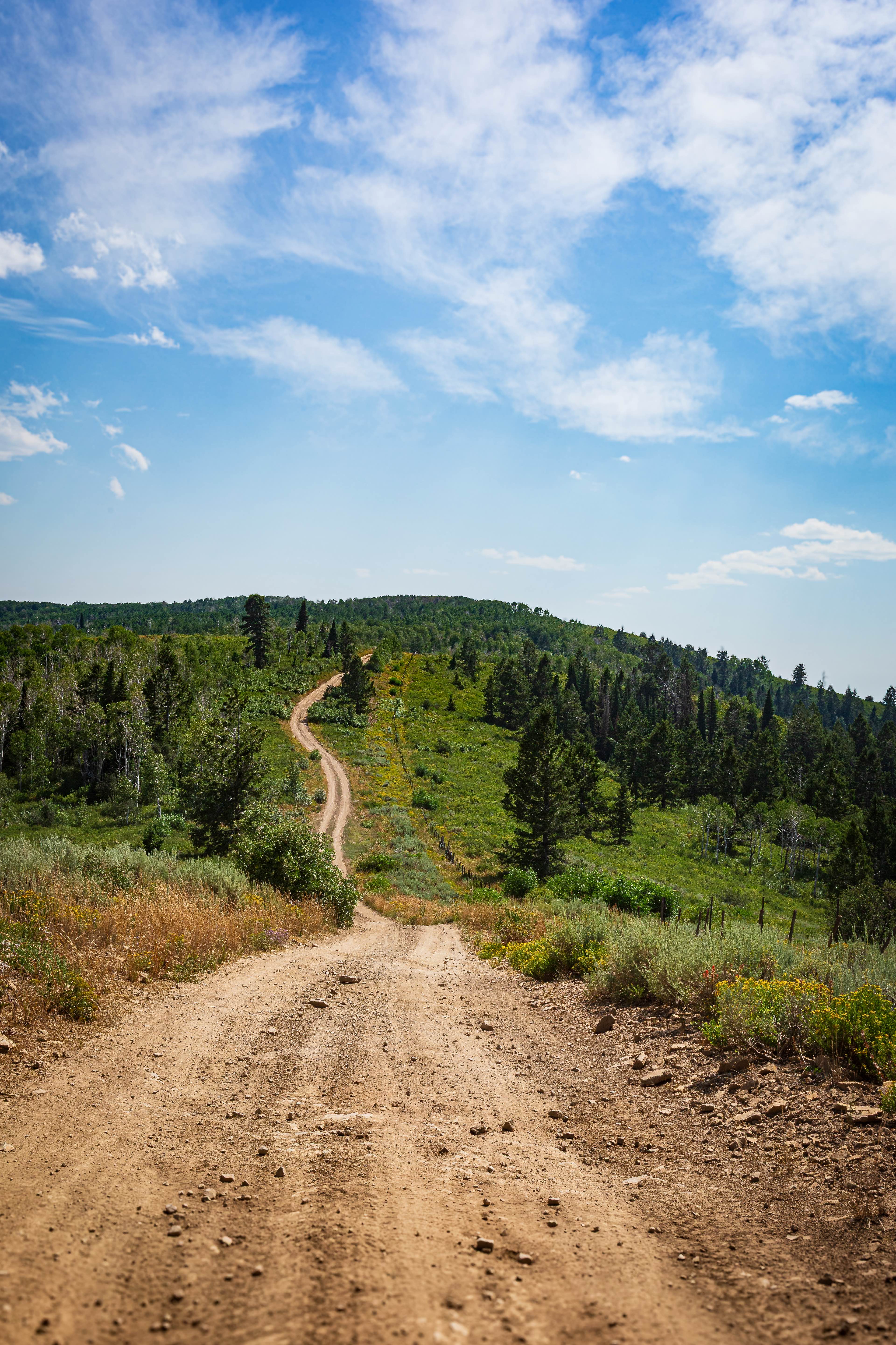 Strawberry Ridge - FS 70518