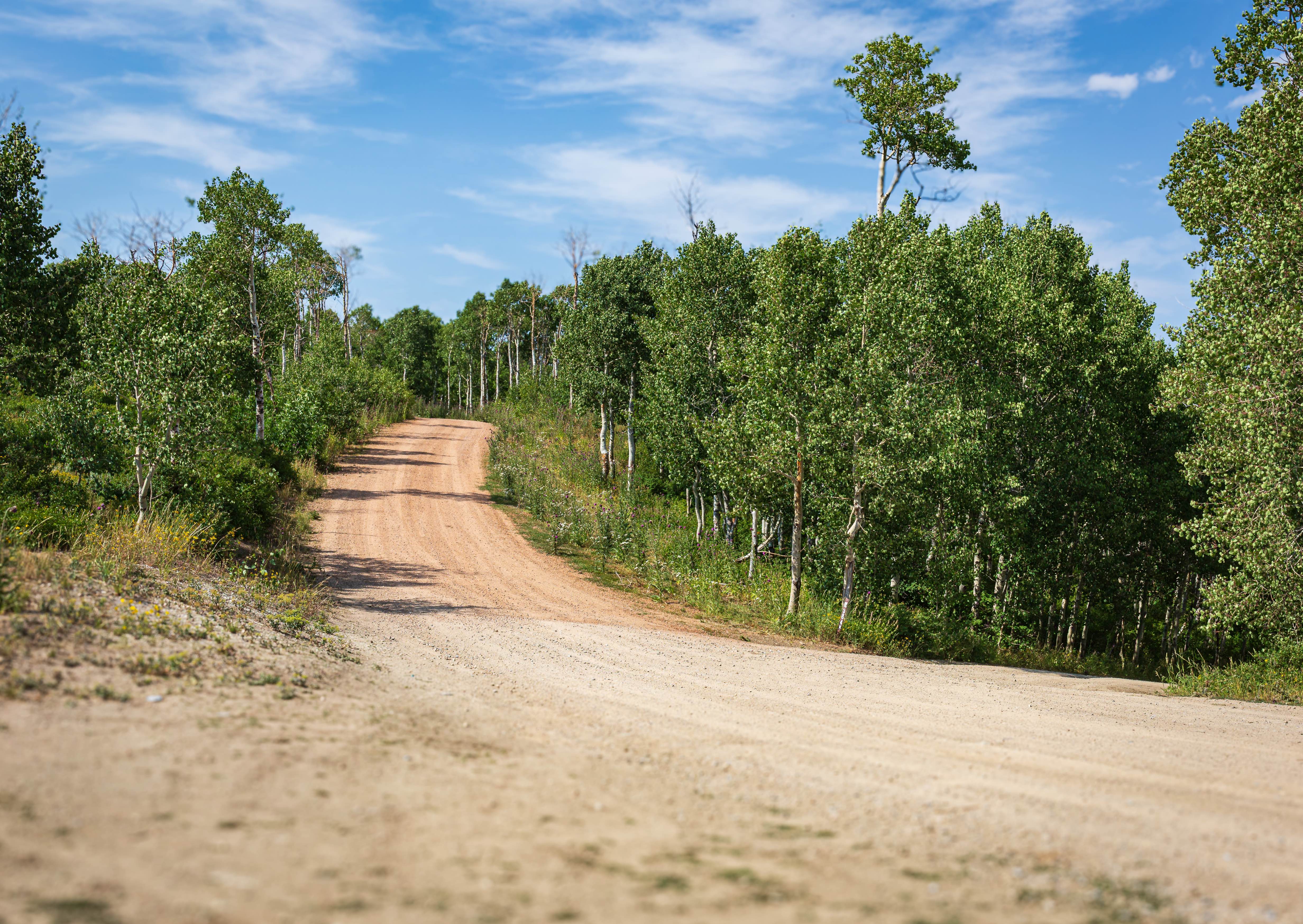 Indian Springs  - FS 70501