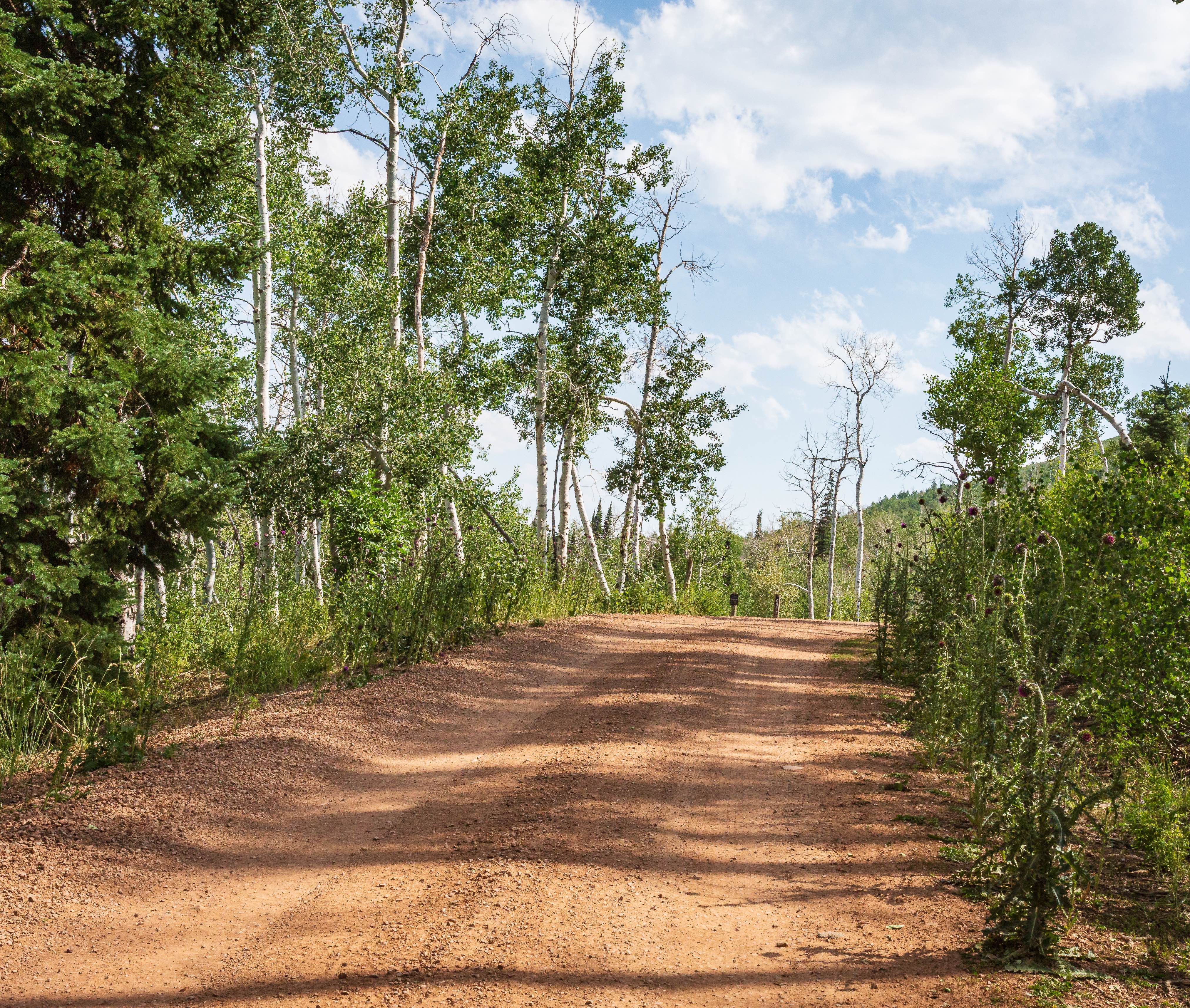 Indian Springs  - FS 70501