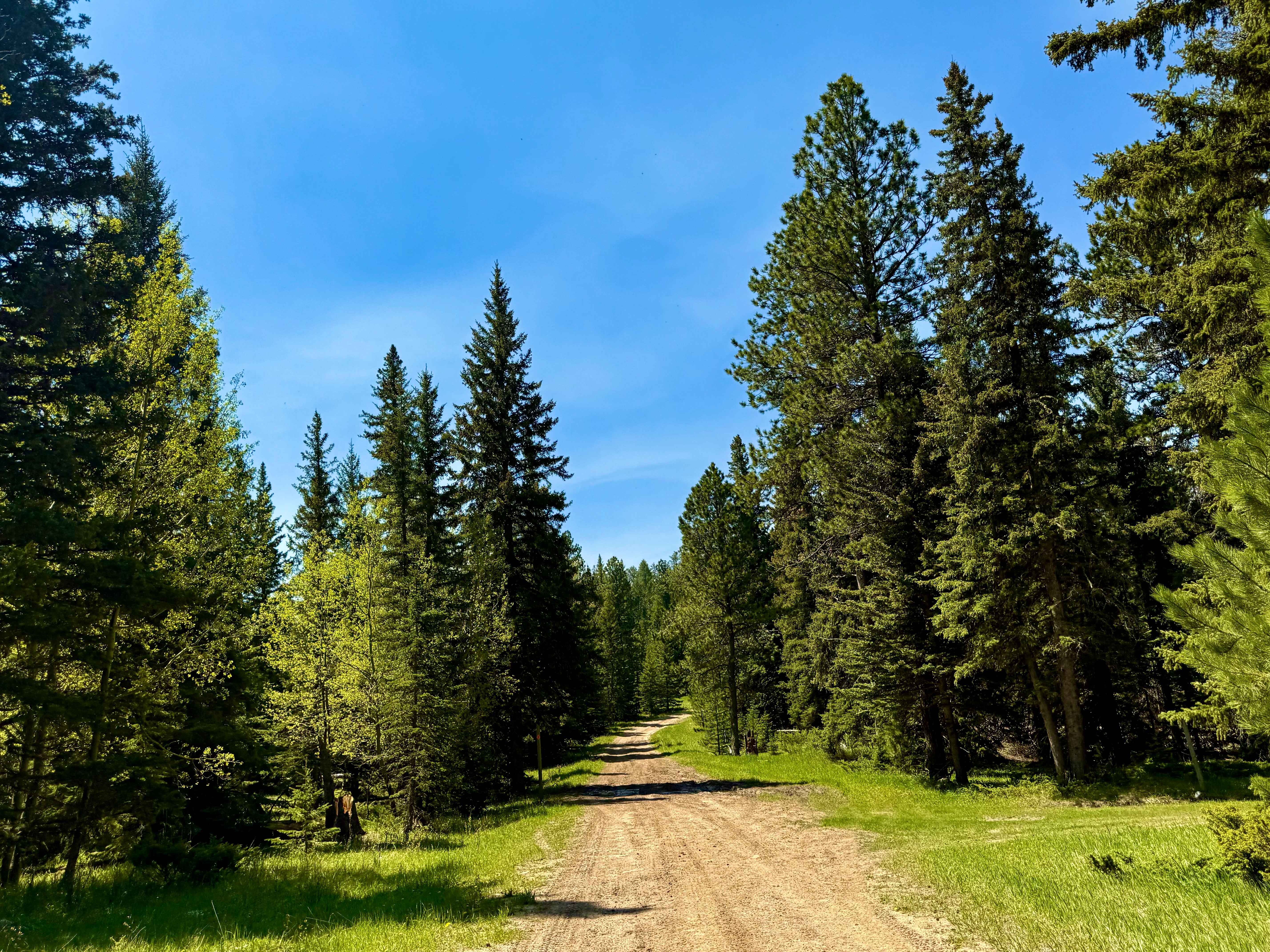 Flag Mountain - FS 189.2