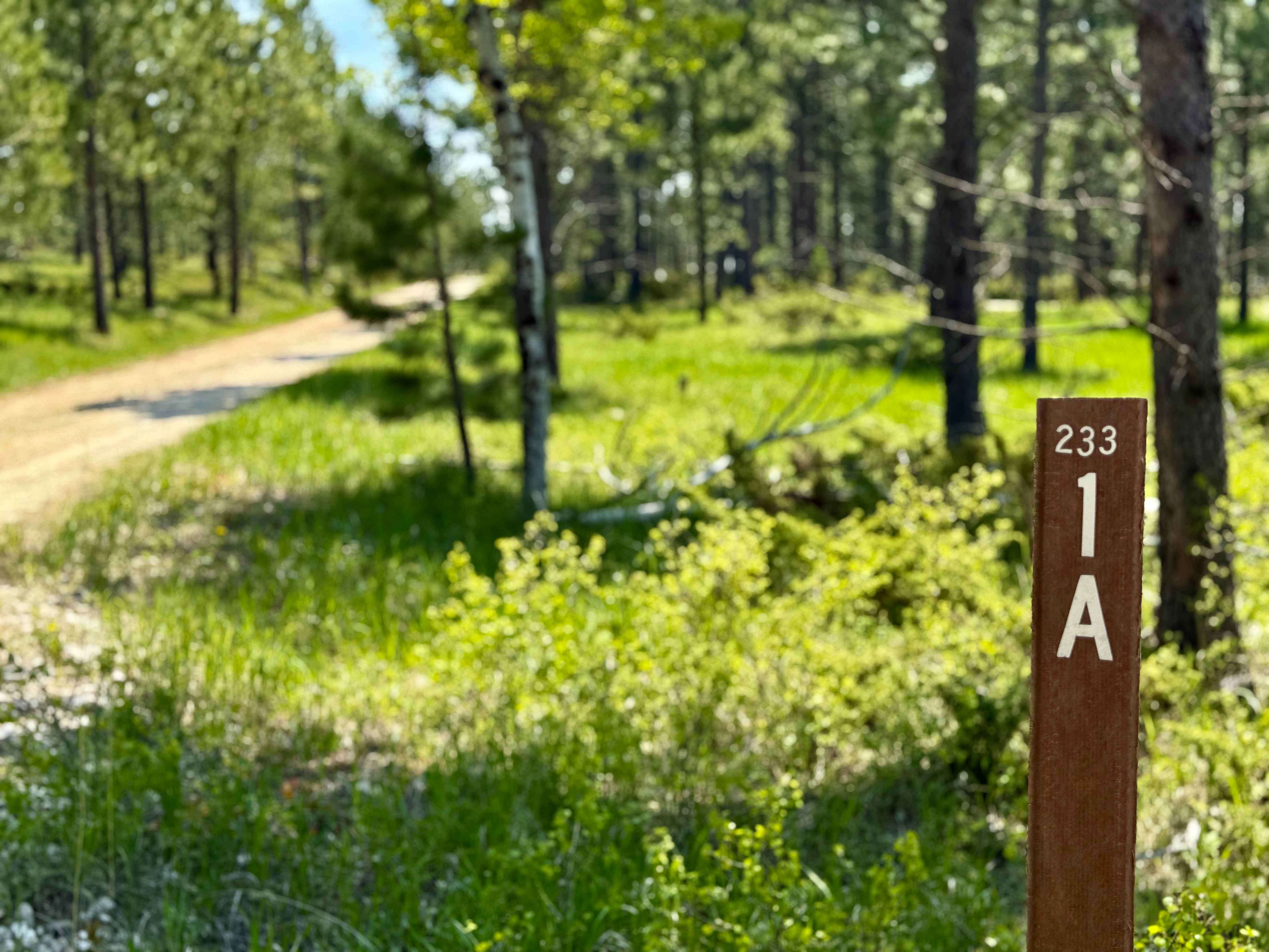 Sholt Draw FS 233.1A