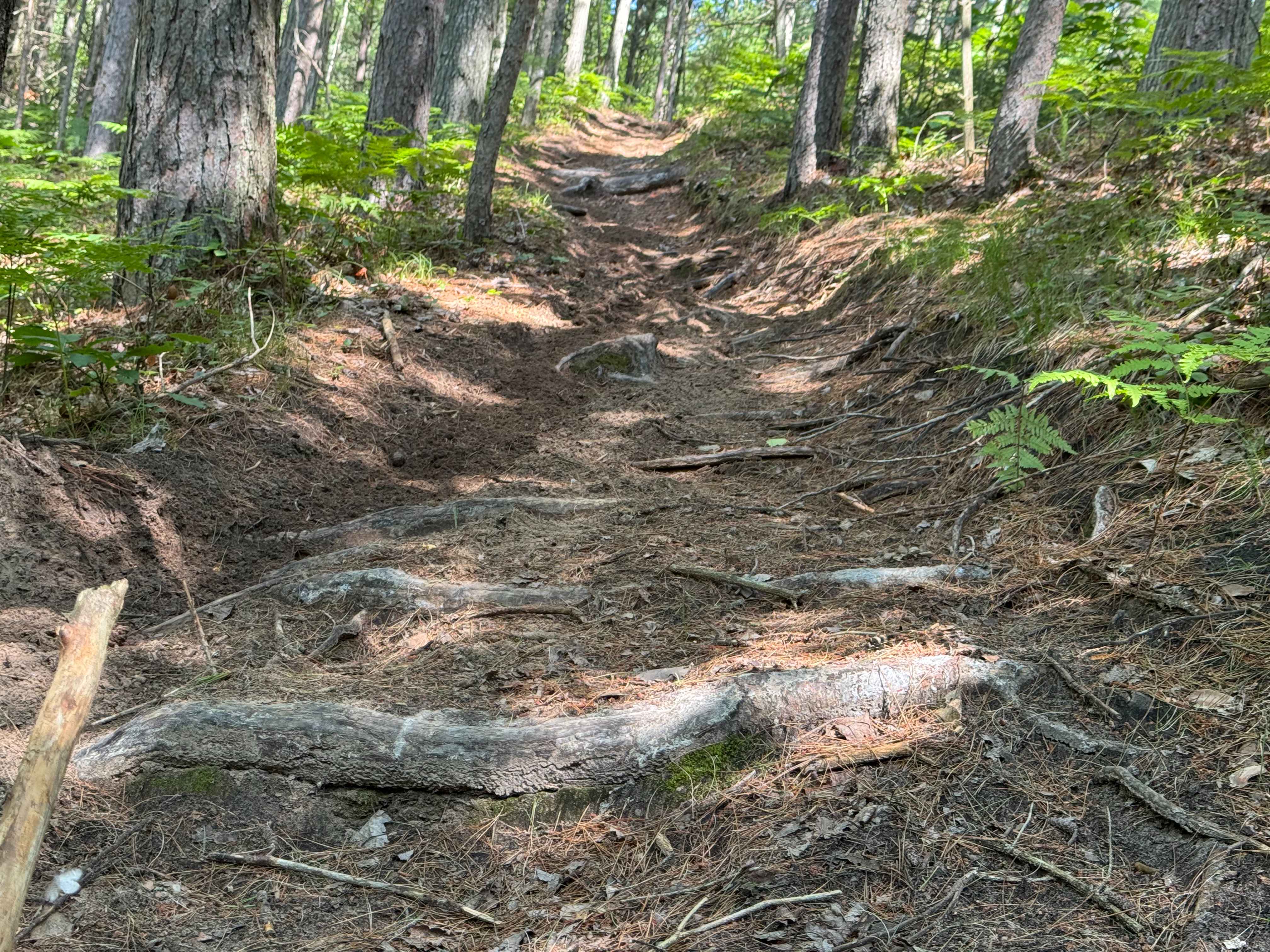 Moss Lake Motorcycle Trail
