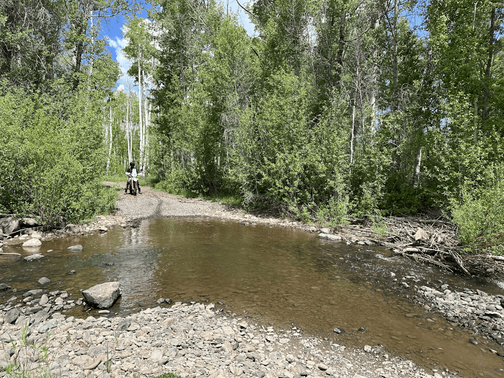 Porter Mountain - FS 534